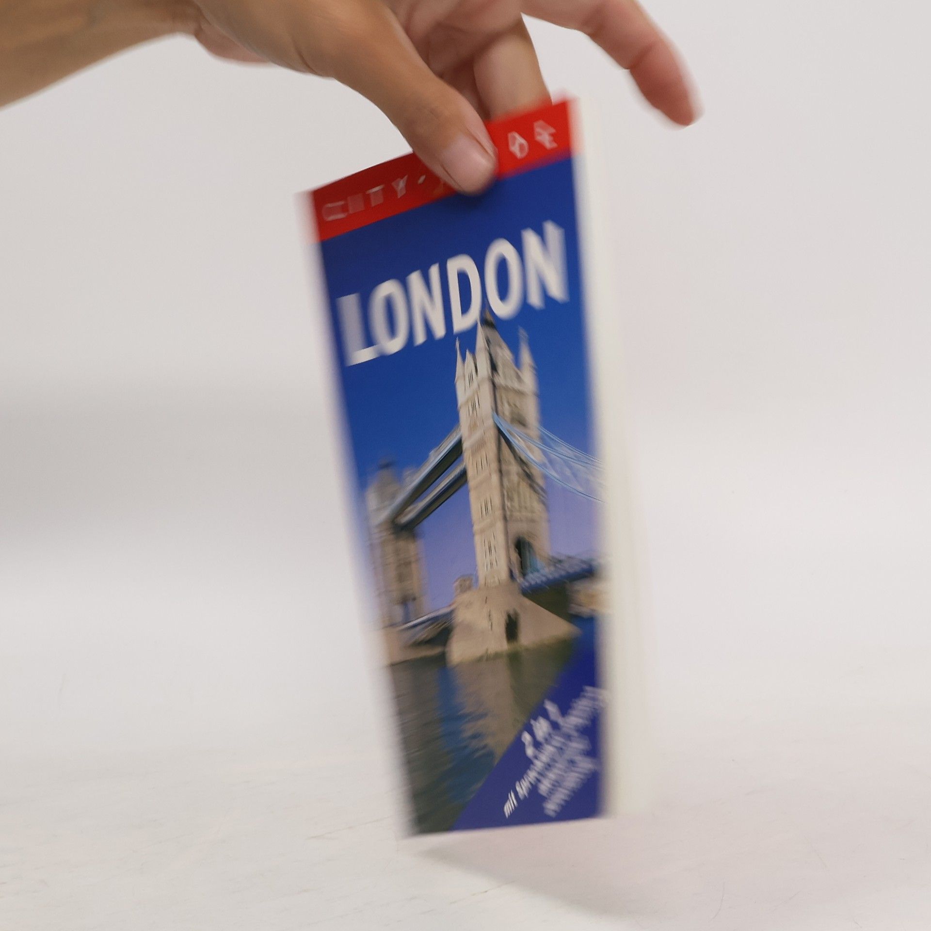 Urike Grimm London City-Guide mit Sprachführer Englisch