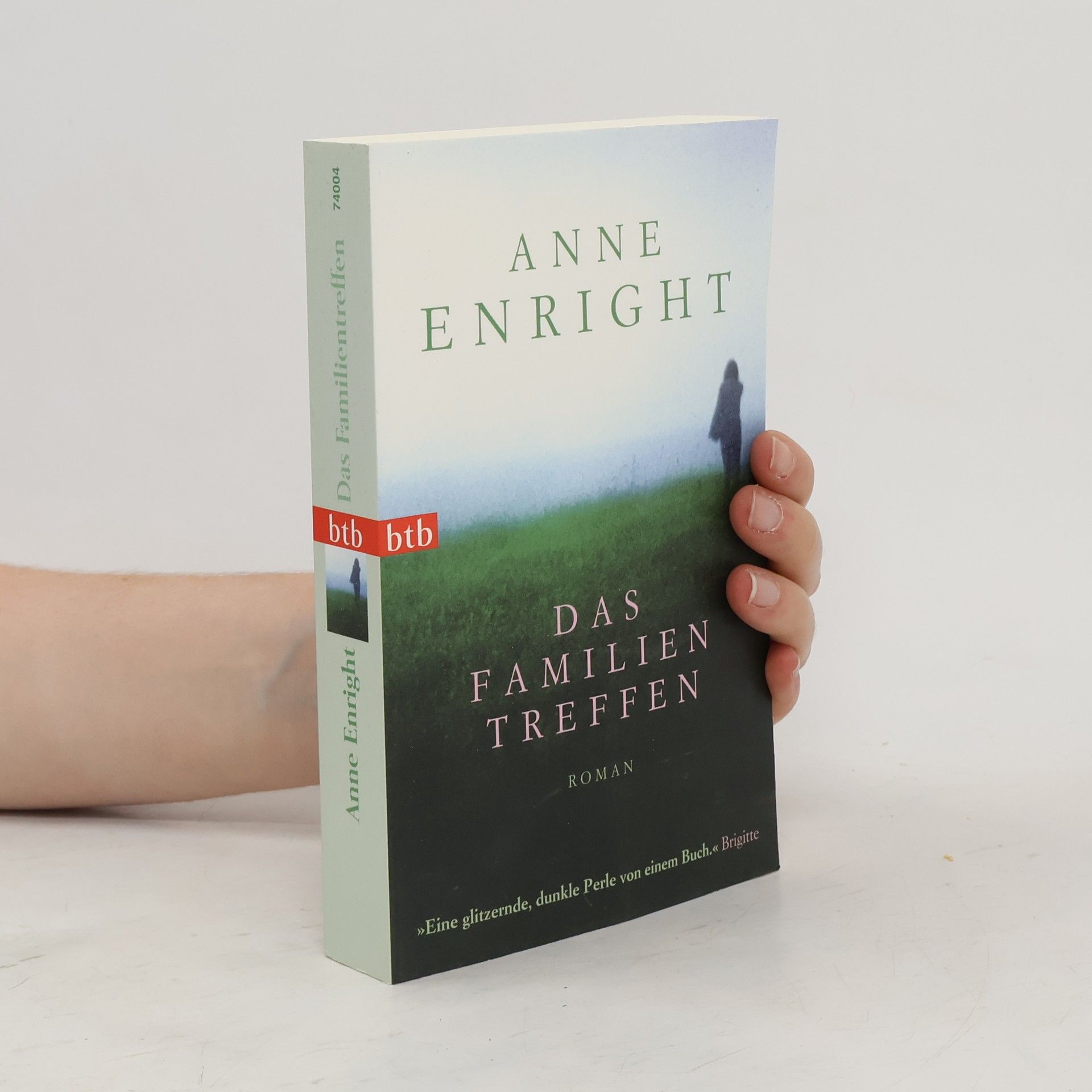 Anne Enright Das Familien Treffen