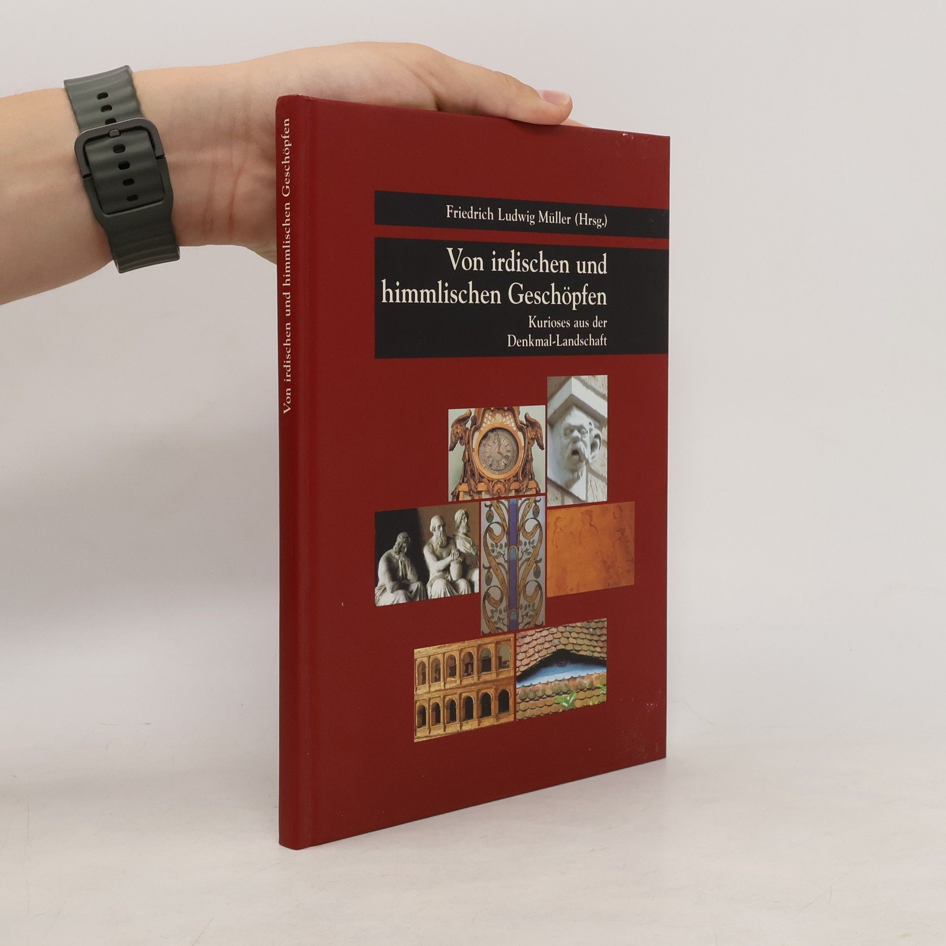 Collectif d'auteurs Kurioses aus der Denkmallandschaft