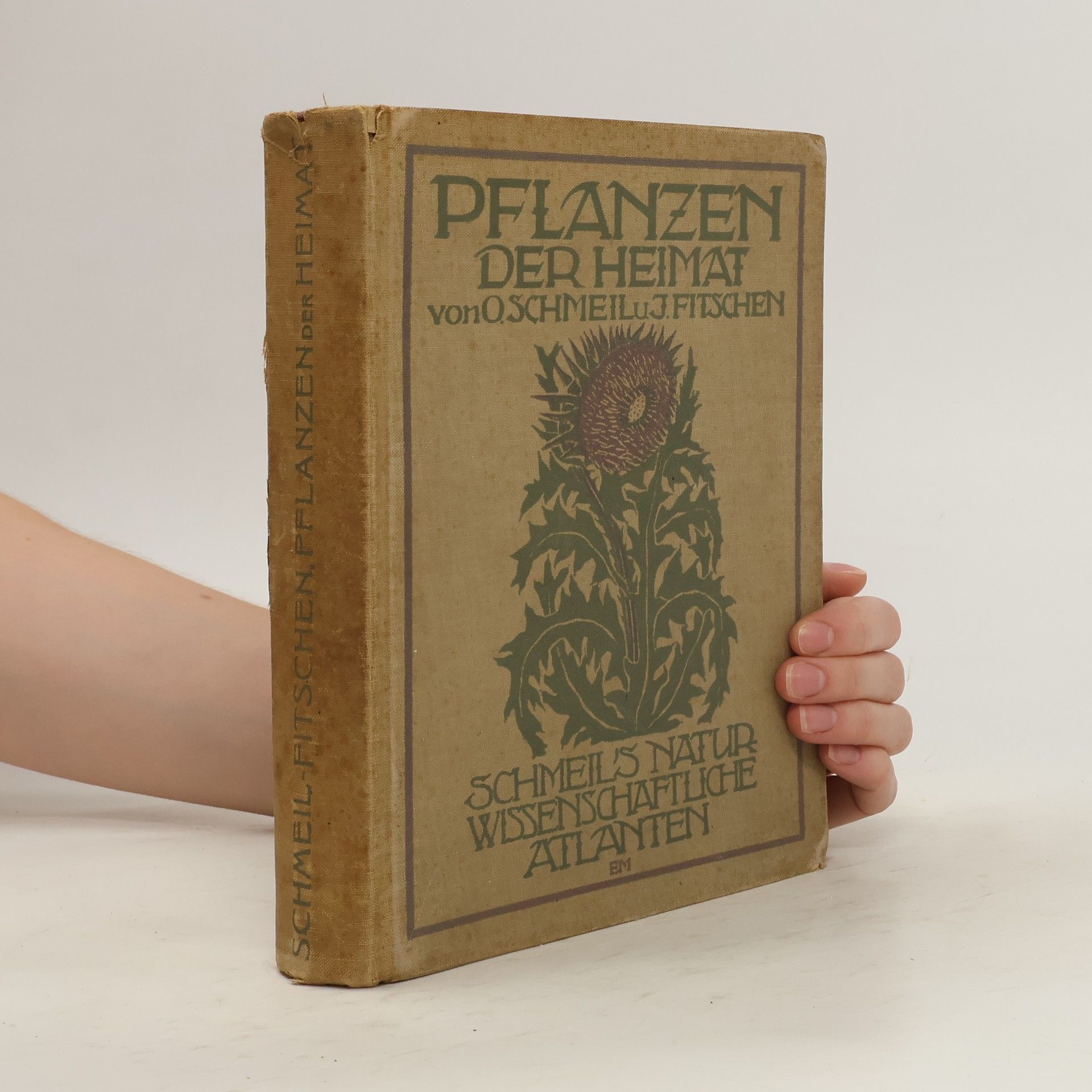 Autorenkollektiv Pflanzen der Heimat