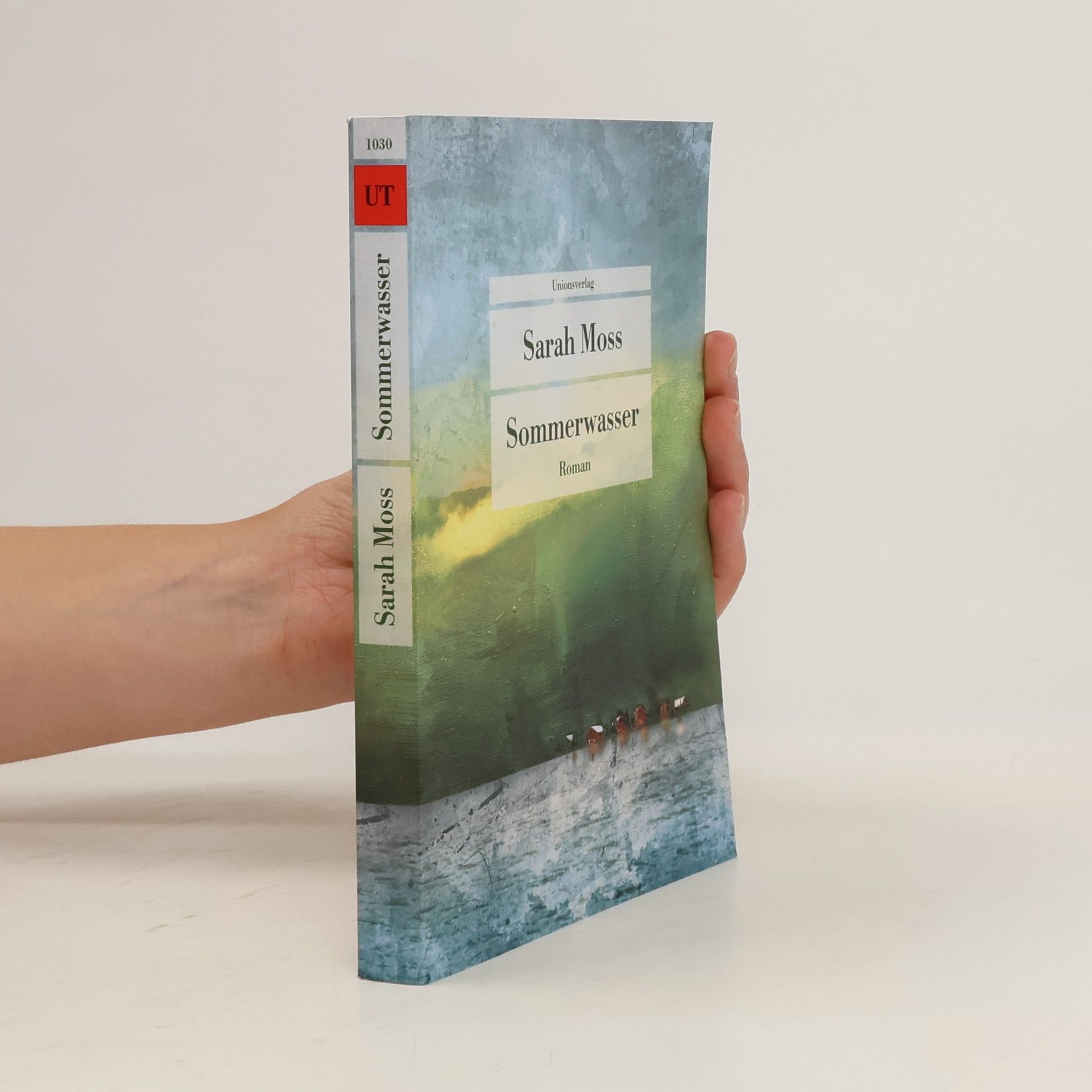 Sarah Moss Sommerwasser