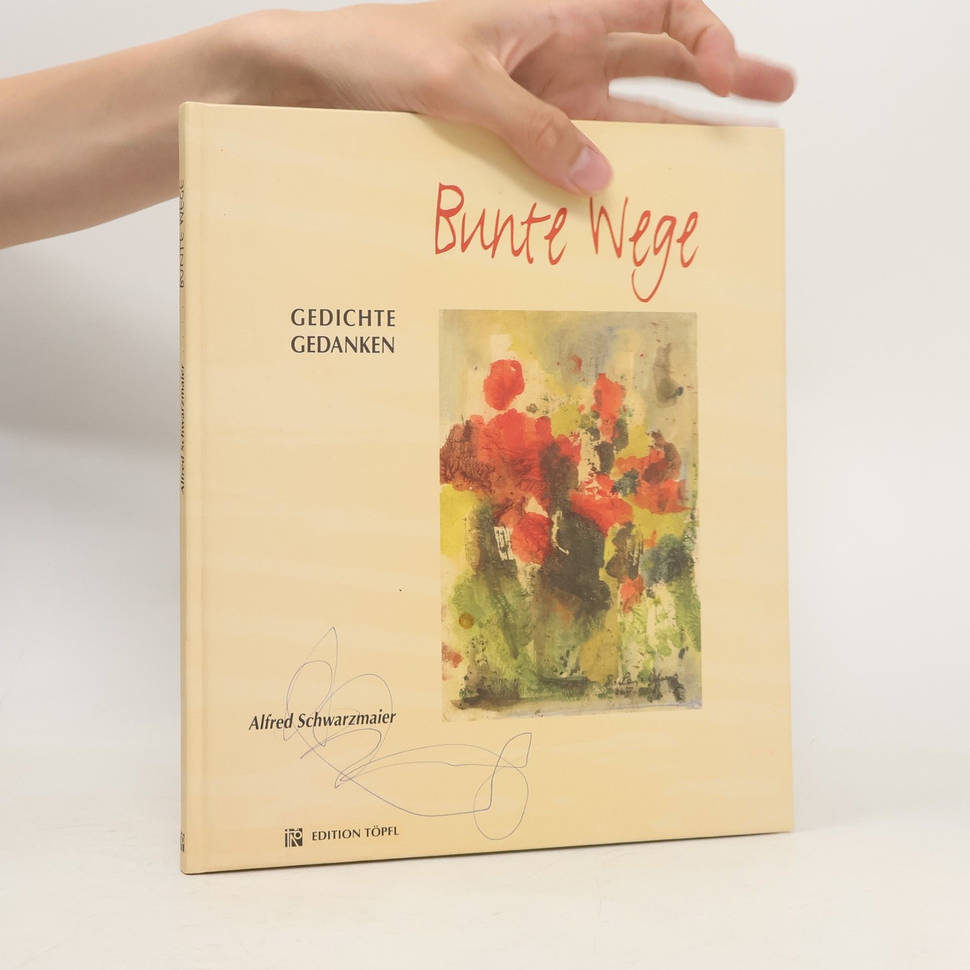 Alfred Schwarzmaier Bunte Wege