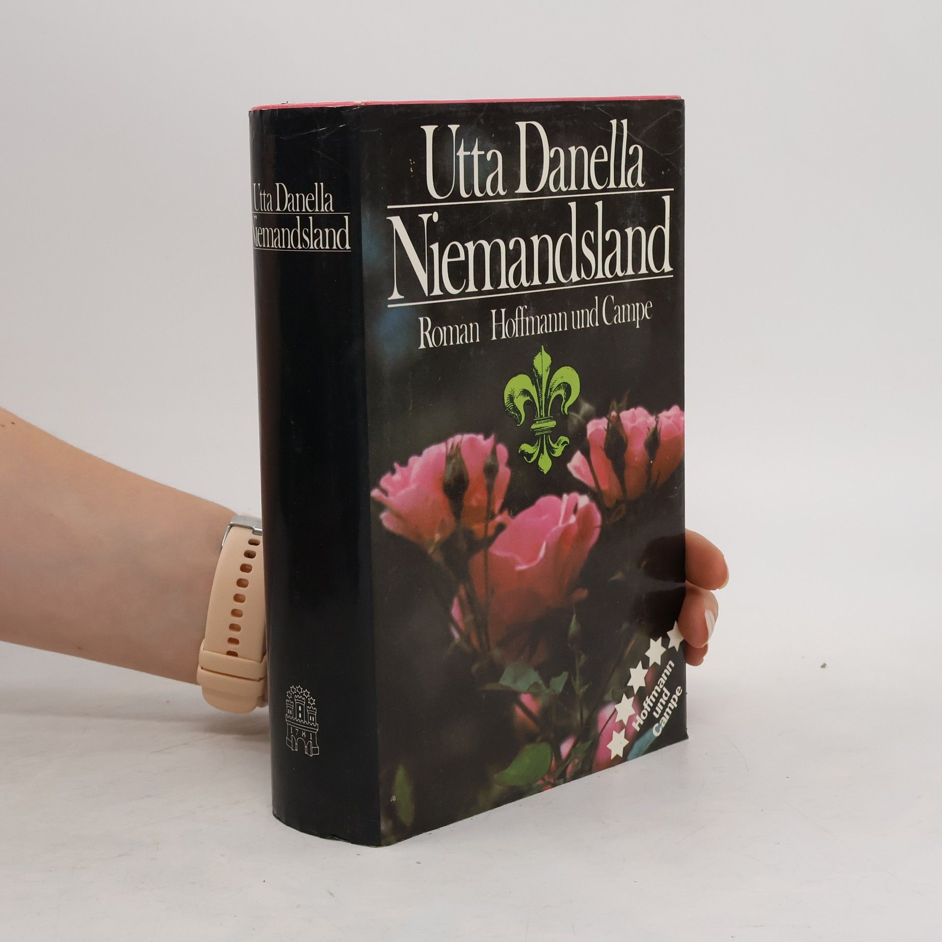 Utta Danella Niemandsland