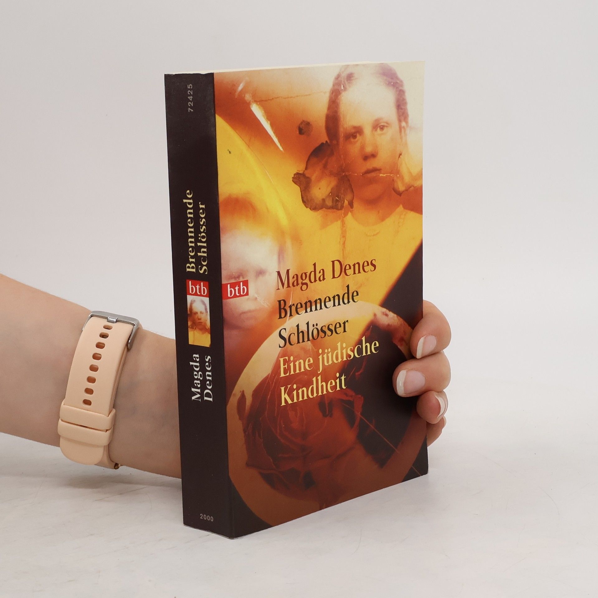 Magda Dénes Brennende Schlösser