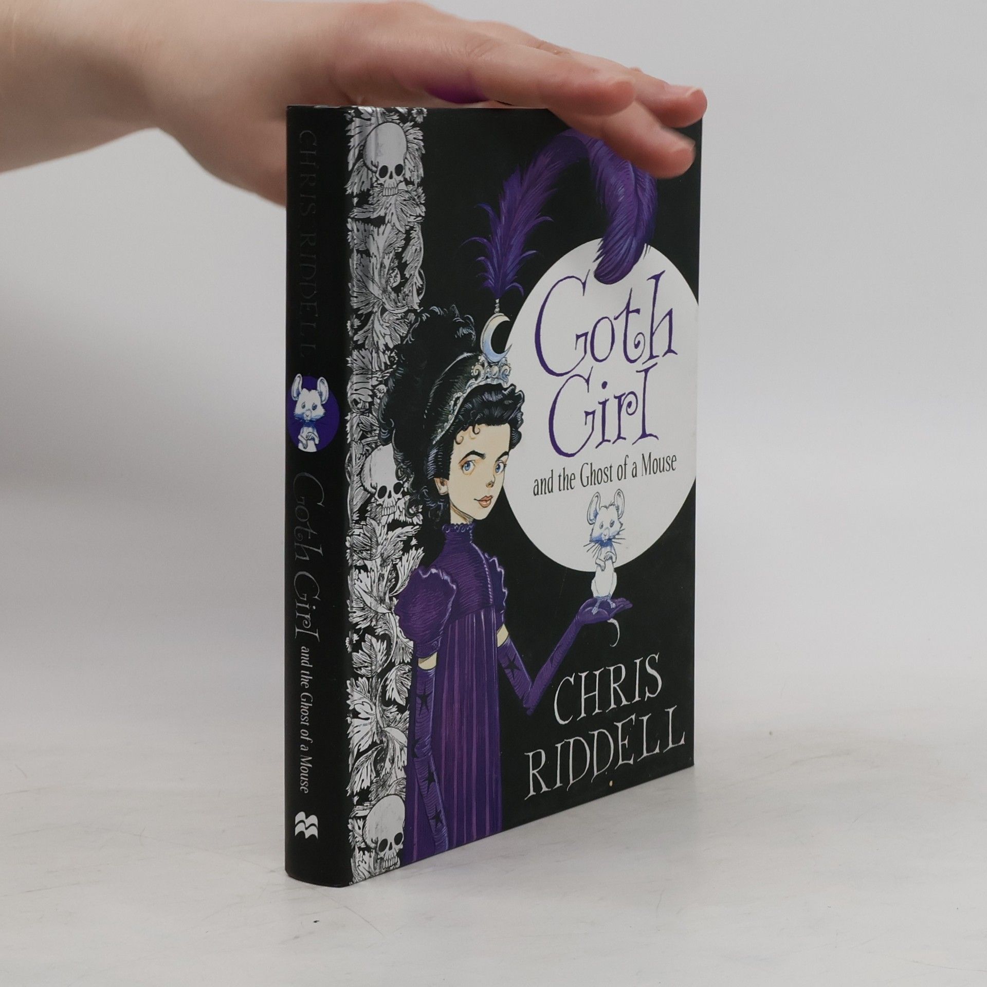 Chris Riddell Goth Girl and the Ghost of a Mouse