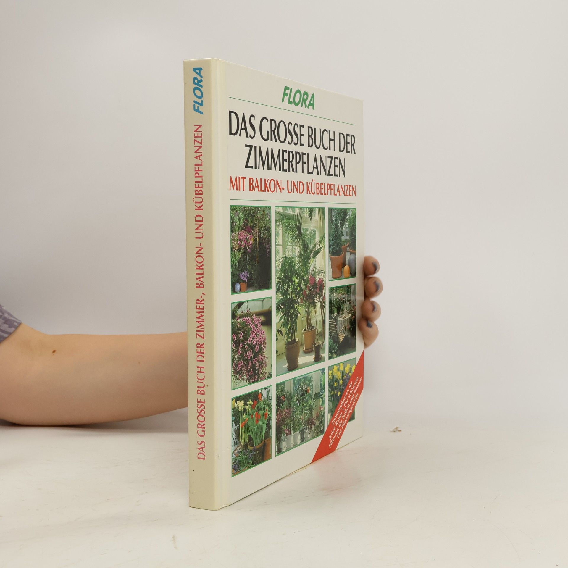 Johannes Haller Das große Buch der Zimmer-, Balkon- und Kübelpflanzen