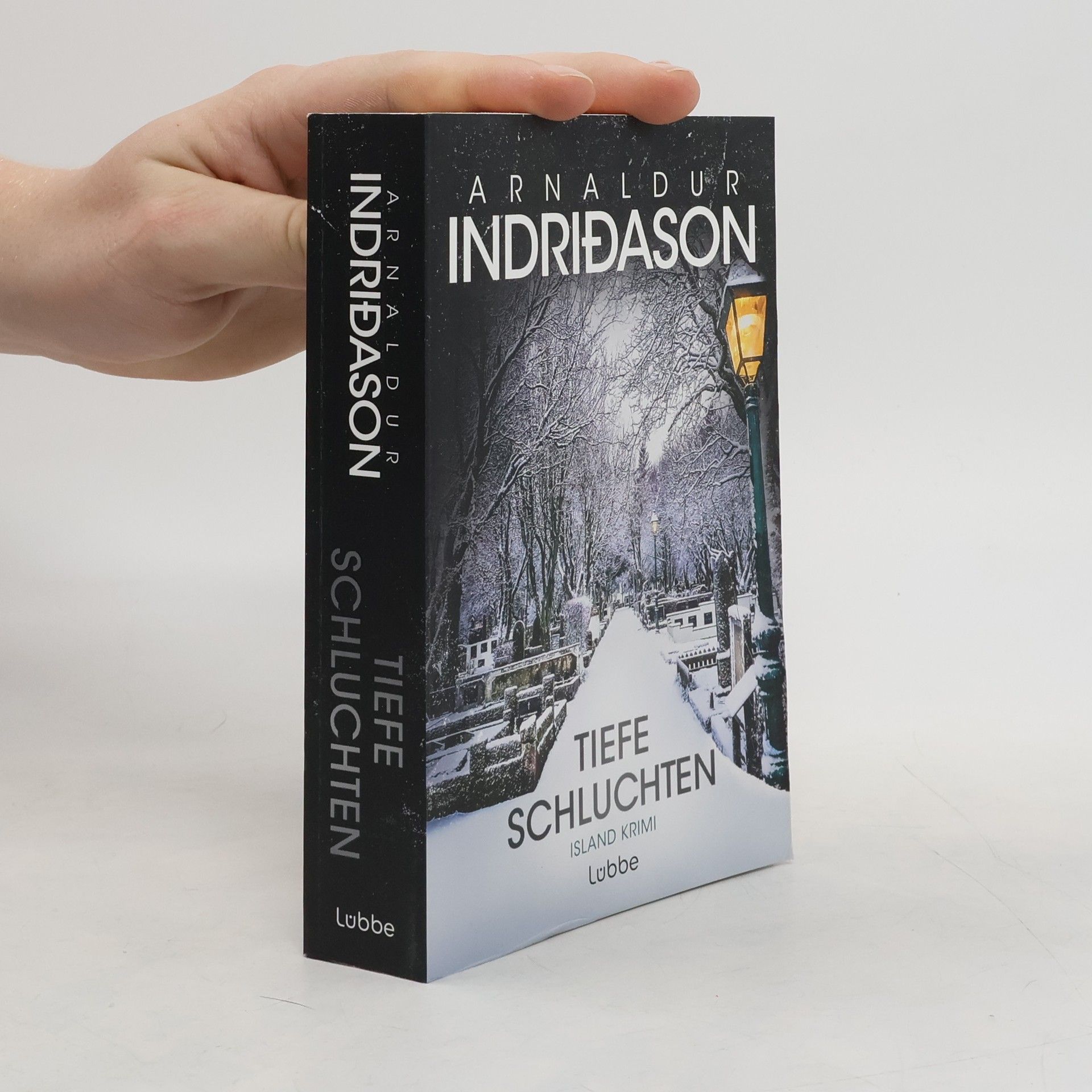 Arnaldur Indriðason Tiefe Schluchten