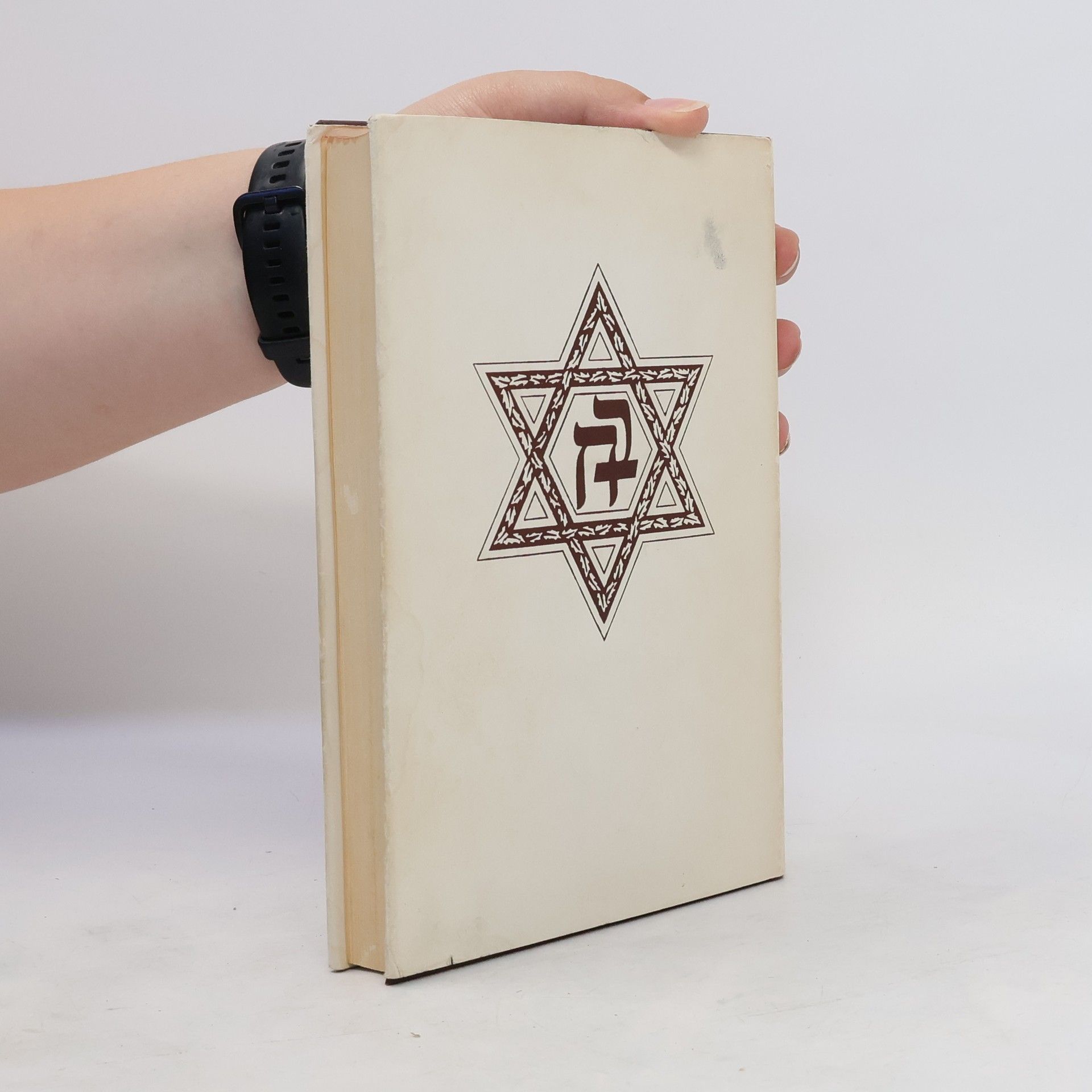 Henry Einspruch The New Testament. דער ברית חדשה