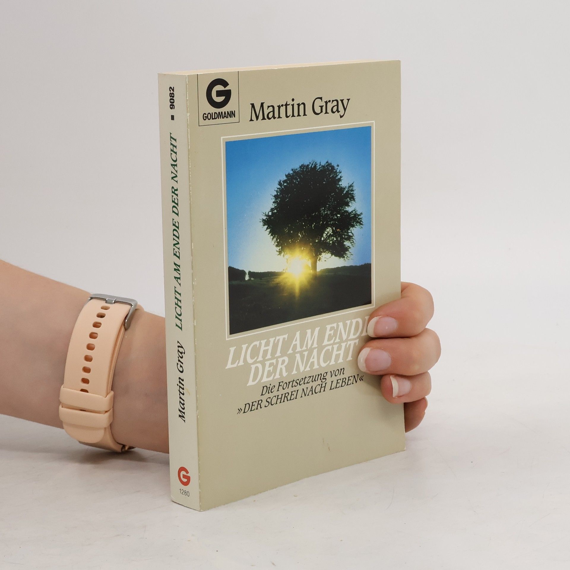 Martin Gray Licht am Ende der Nacht