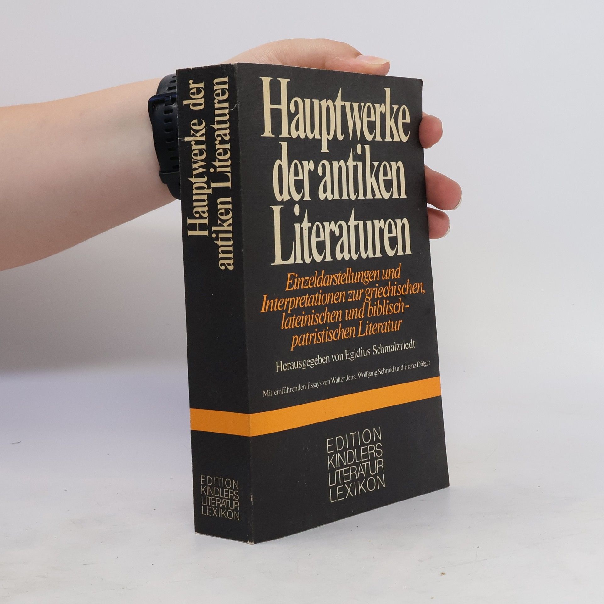 Jens-Walter Lüpkes Hauptwerke der antiken Literaturen
