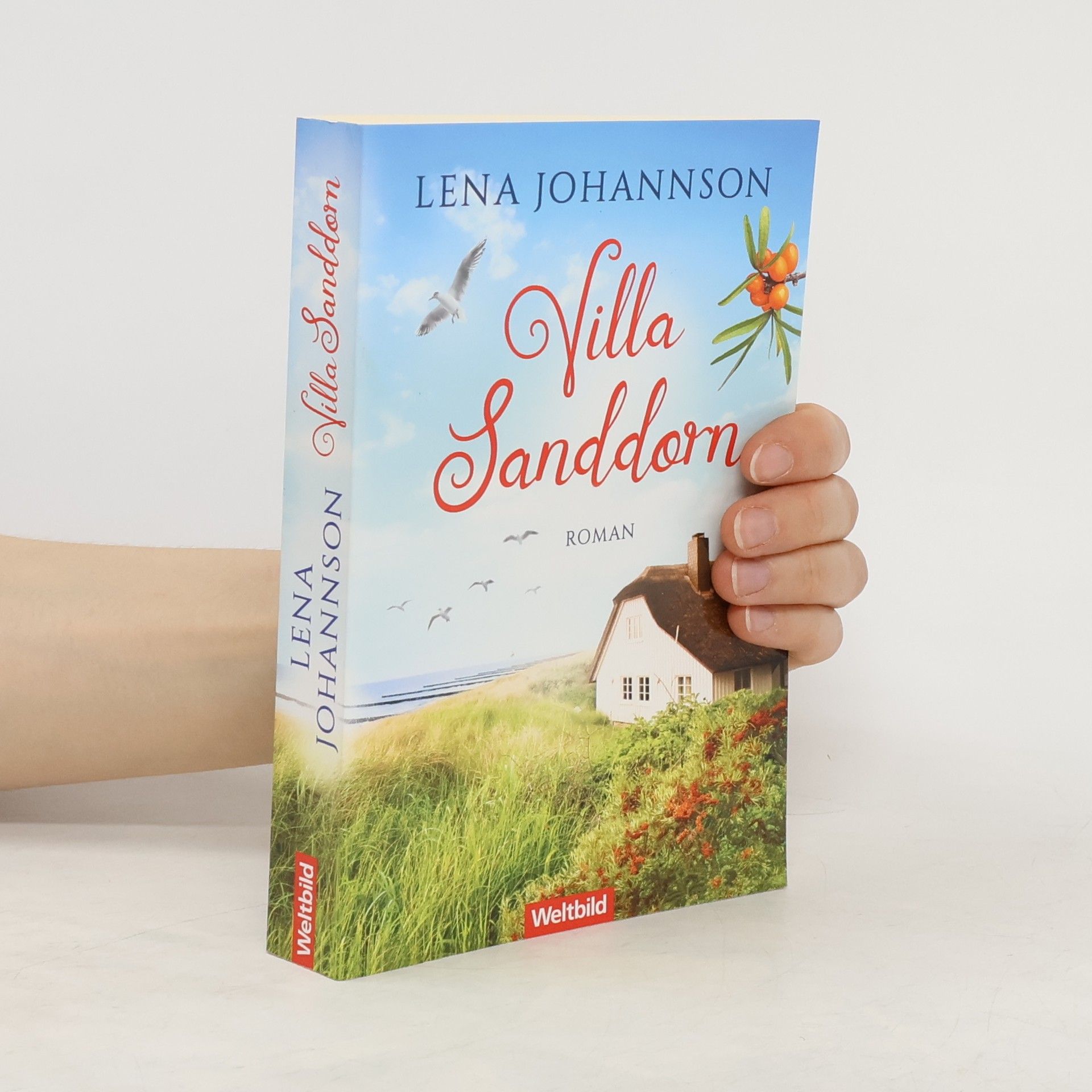 Lena Johannson Sanddorninsel