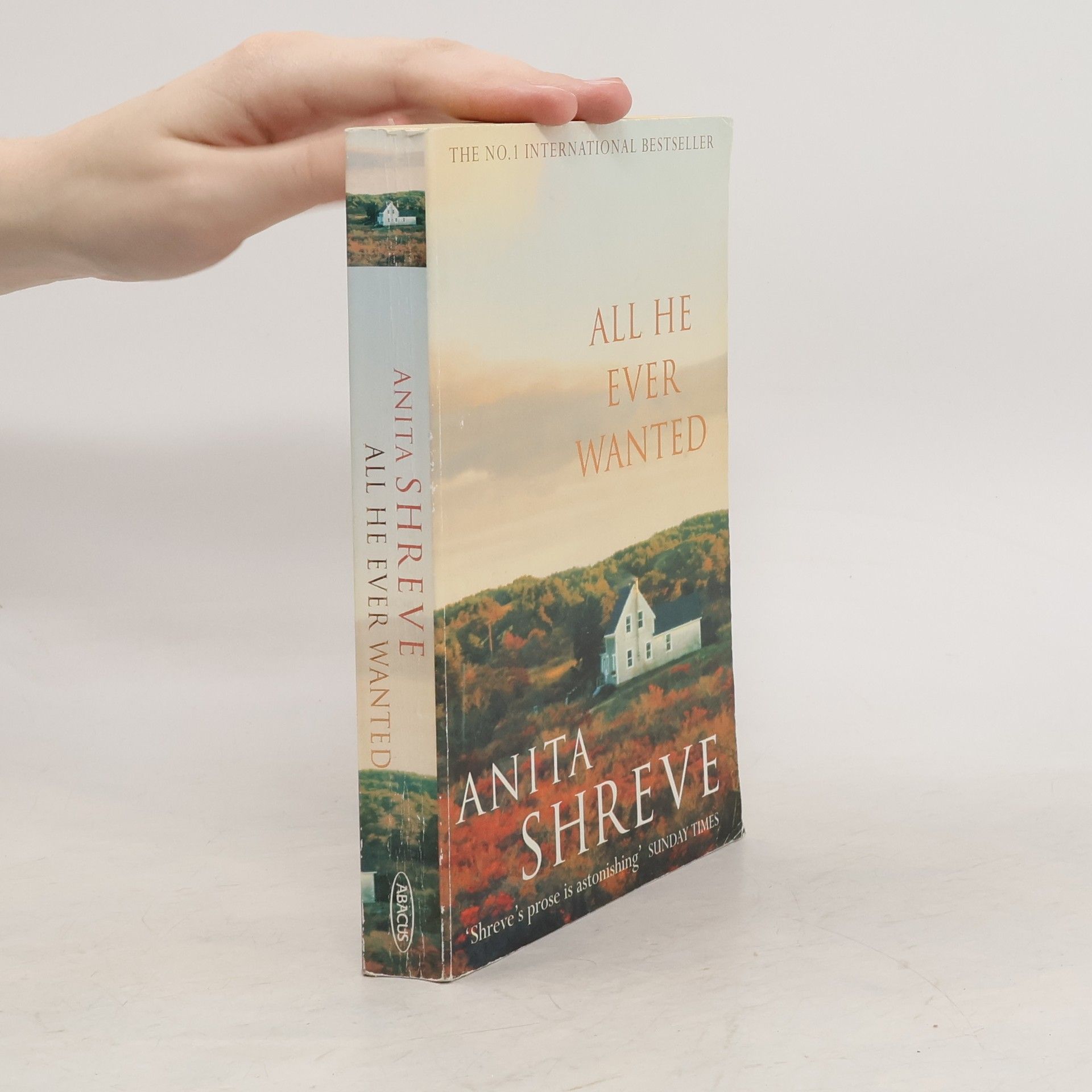 Anita Shreve All He Ever Wanted