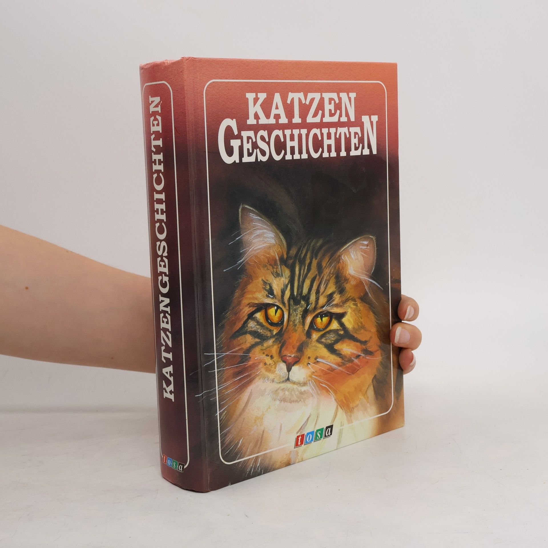 Autorenkollektiv Katzengeschichten