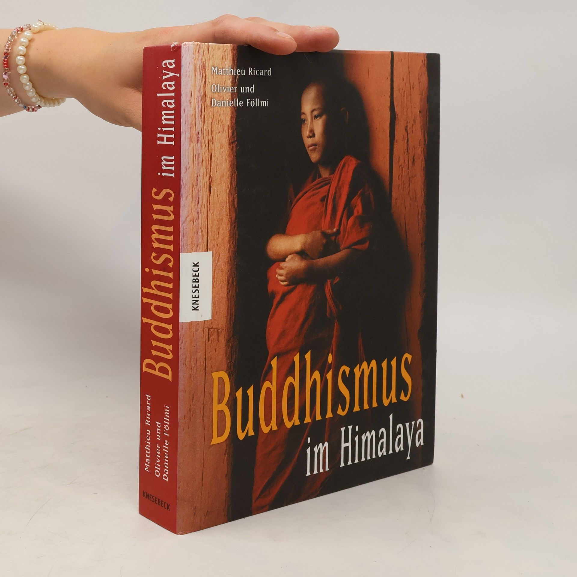 Matthieu Ricard Buddhismus im Himalaya