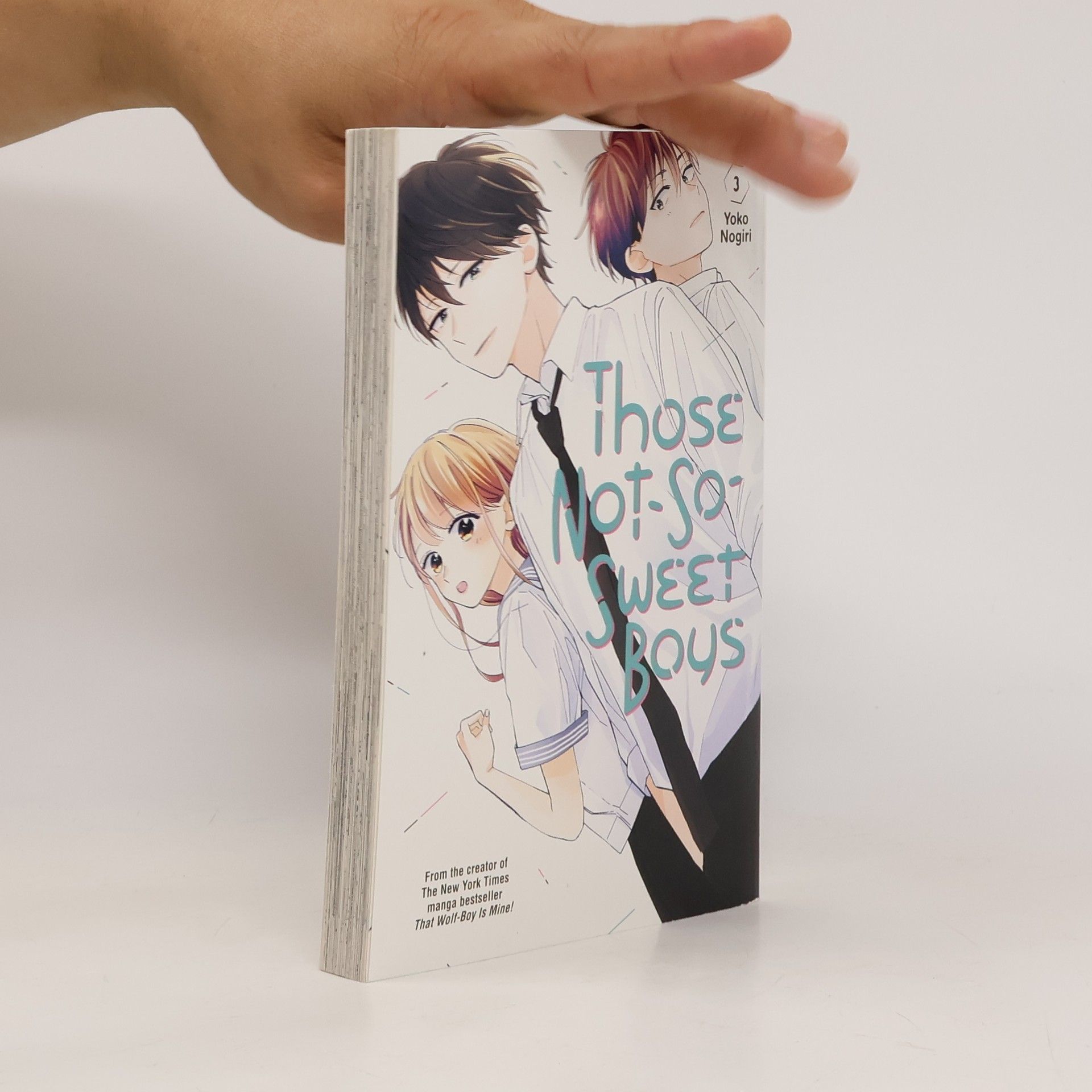 Yoko Nogiri Those Not-So-Sweet Boys