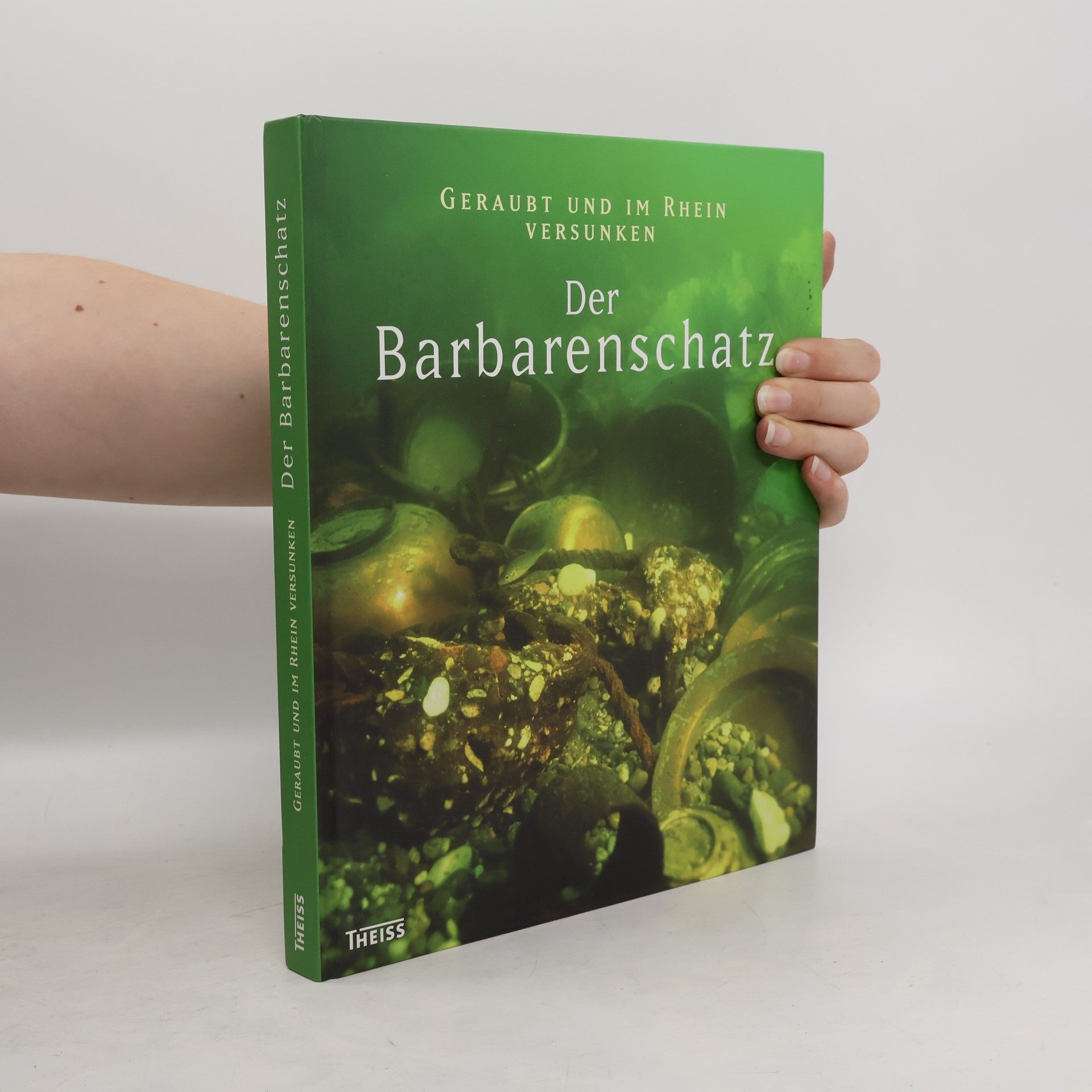 Juliane Stadler Geraubt und im Rhein versunken - der Barbarenschatz