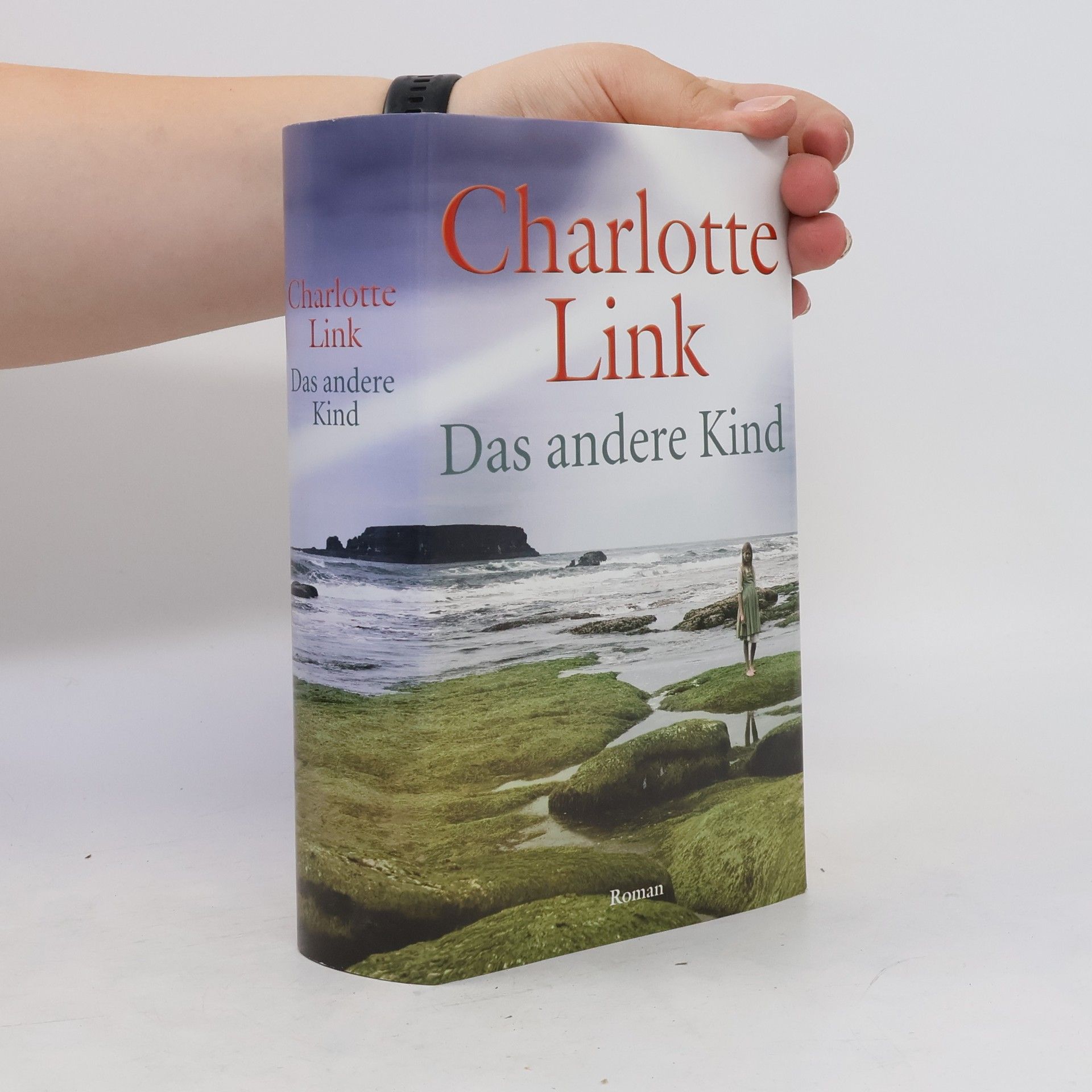 Charlotte Link Das andere Kind