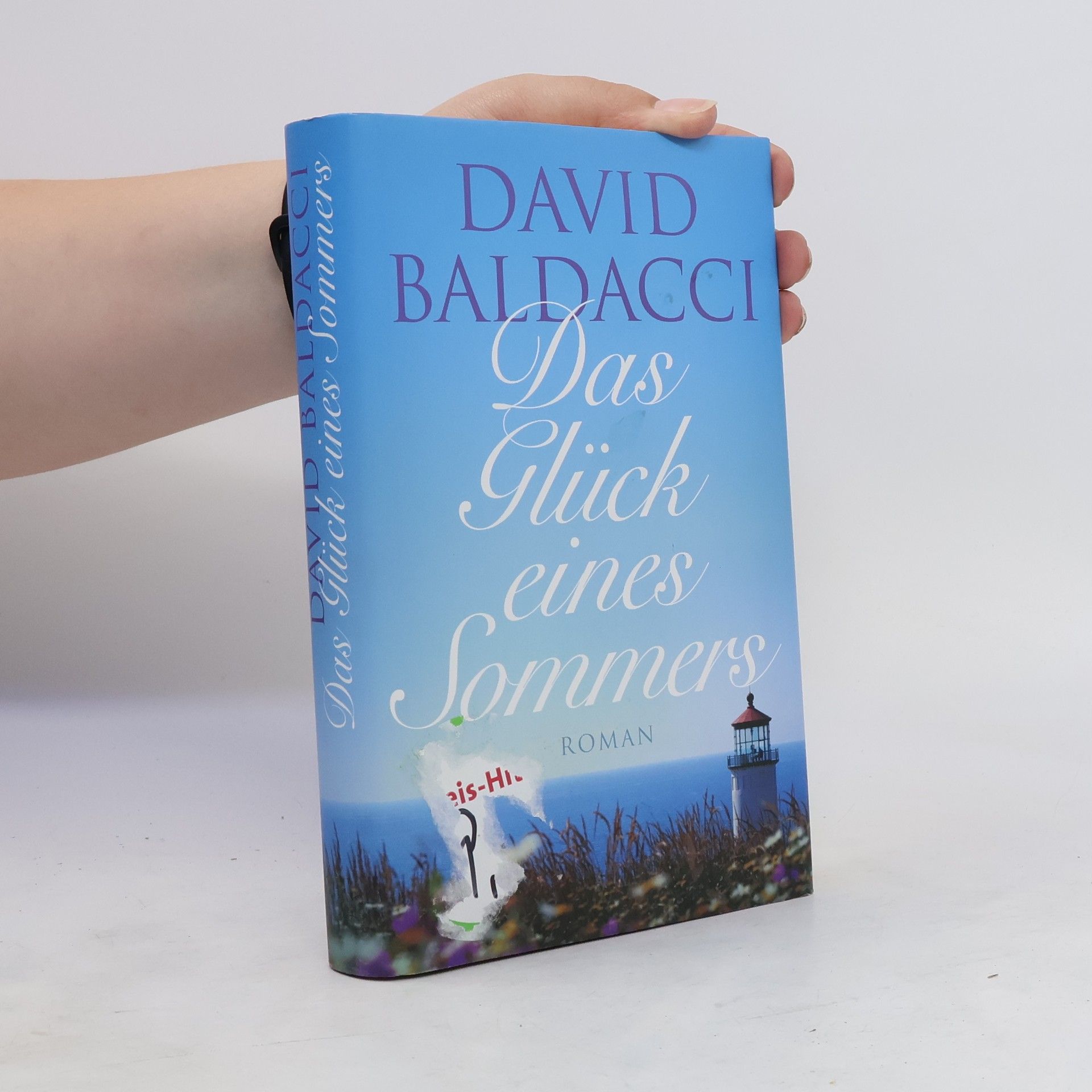 David Baldacci Das Glück eines Sommers
