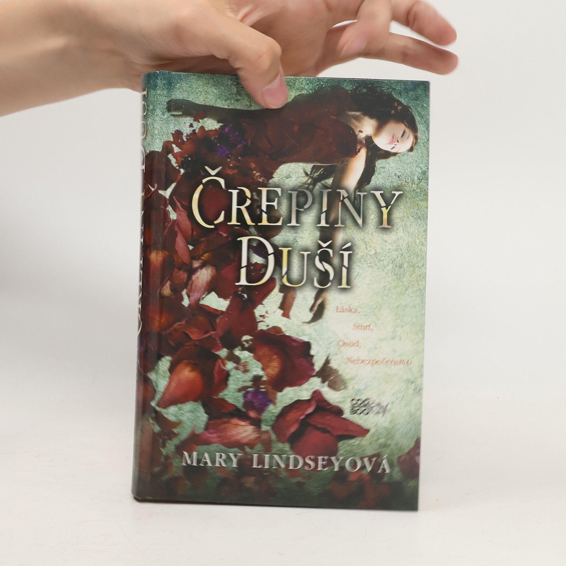Mary Lindsey Črepiny duší