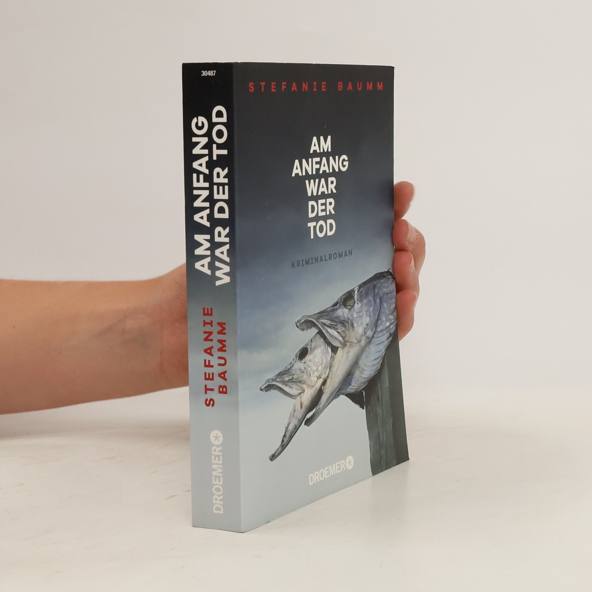 Stefanie Baumm Am Anfang war der Tod
