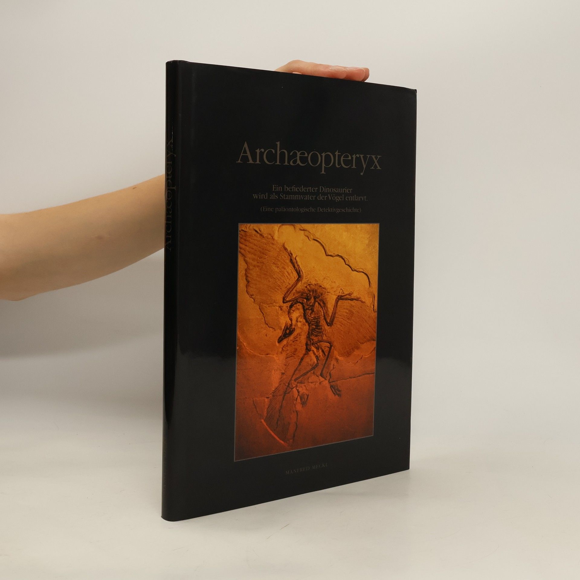 Manfred Meckl Archaeopteryx