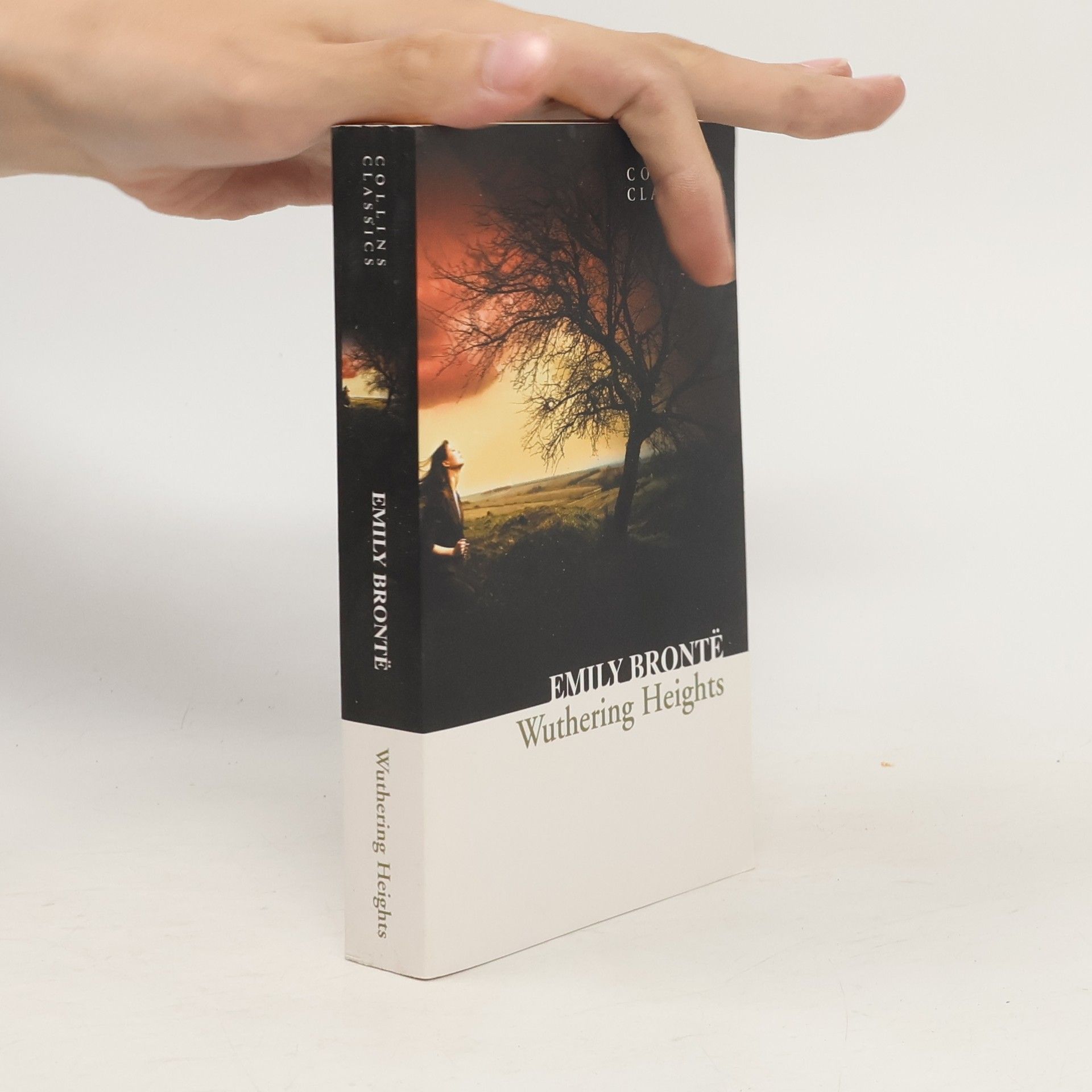 Emily Brontë Wuthering Heights
