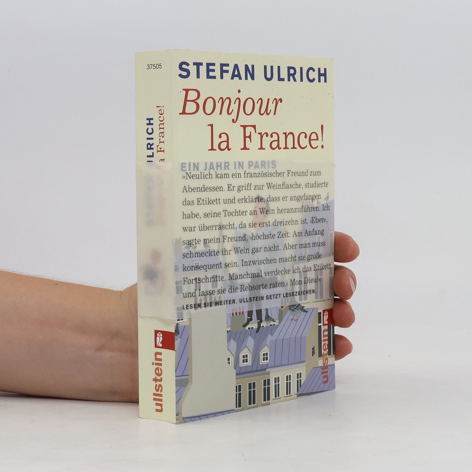 Stefan Ulrich Bonjour la France! Ein Jahr in Paris