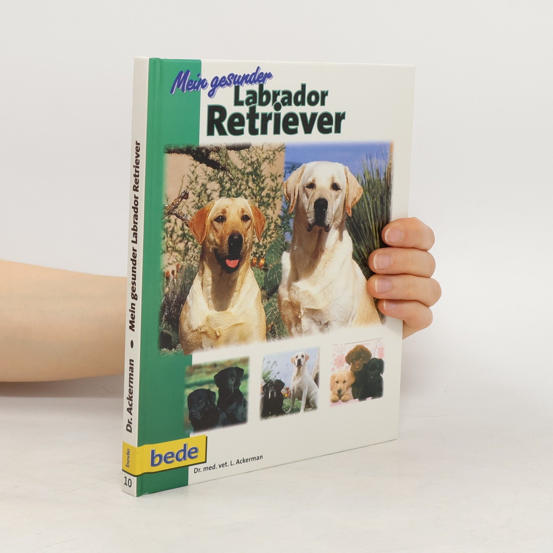 Lowell Ackerman Mein gesunder Labrador Retriever