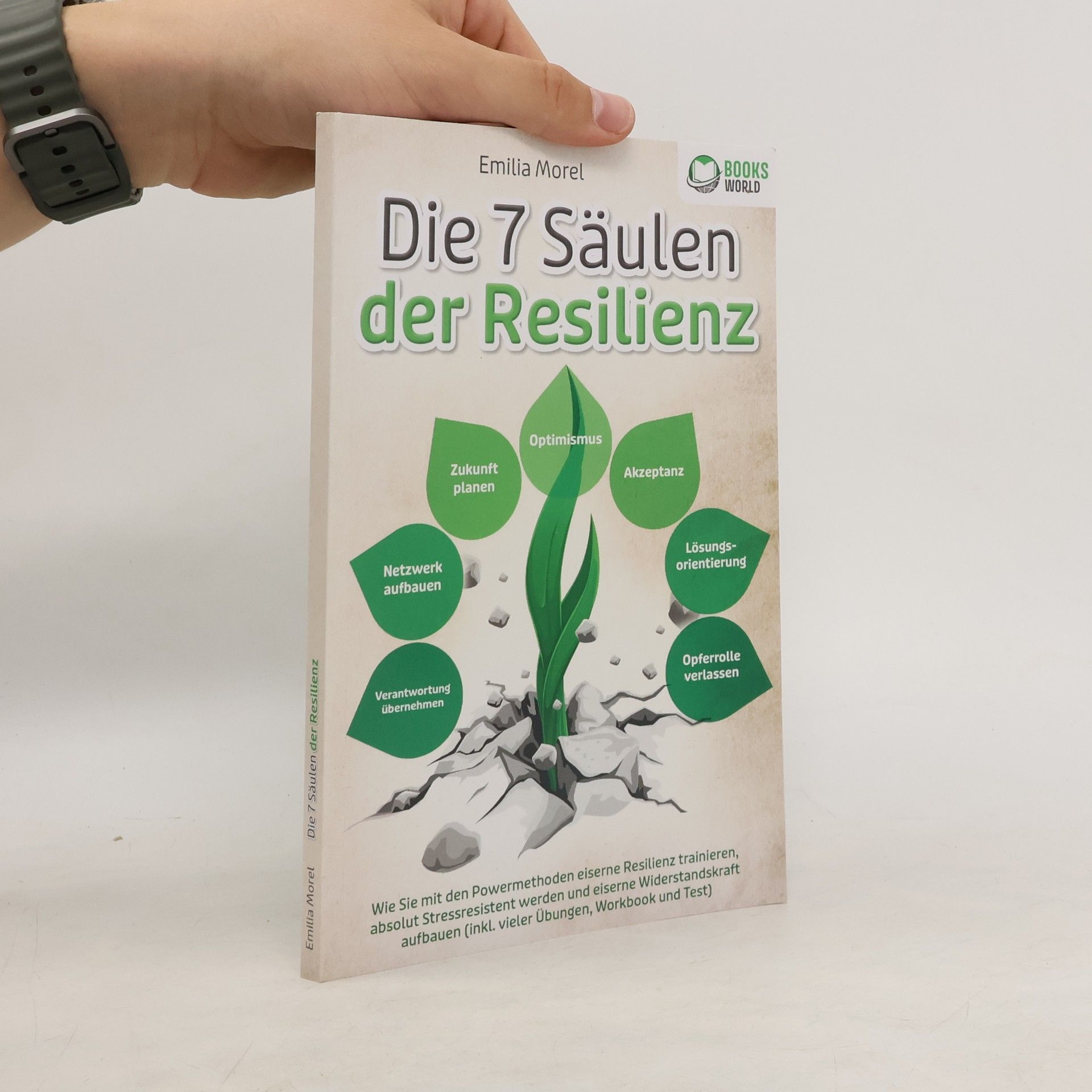 Emilia Morel Die 7 Säulen der Resilienz