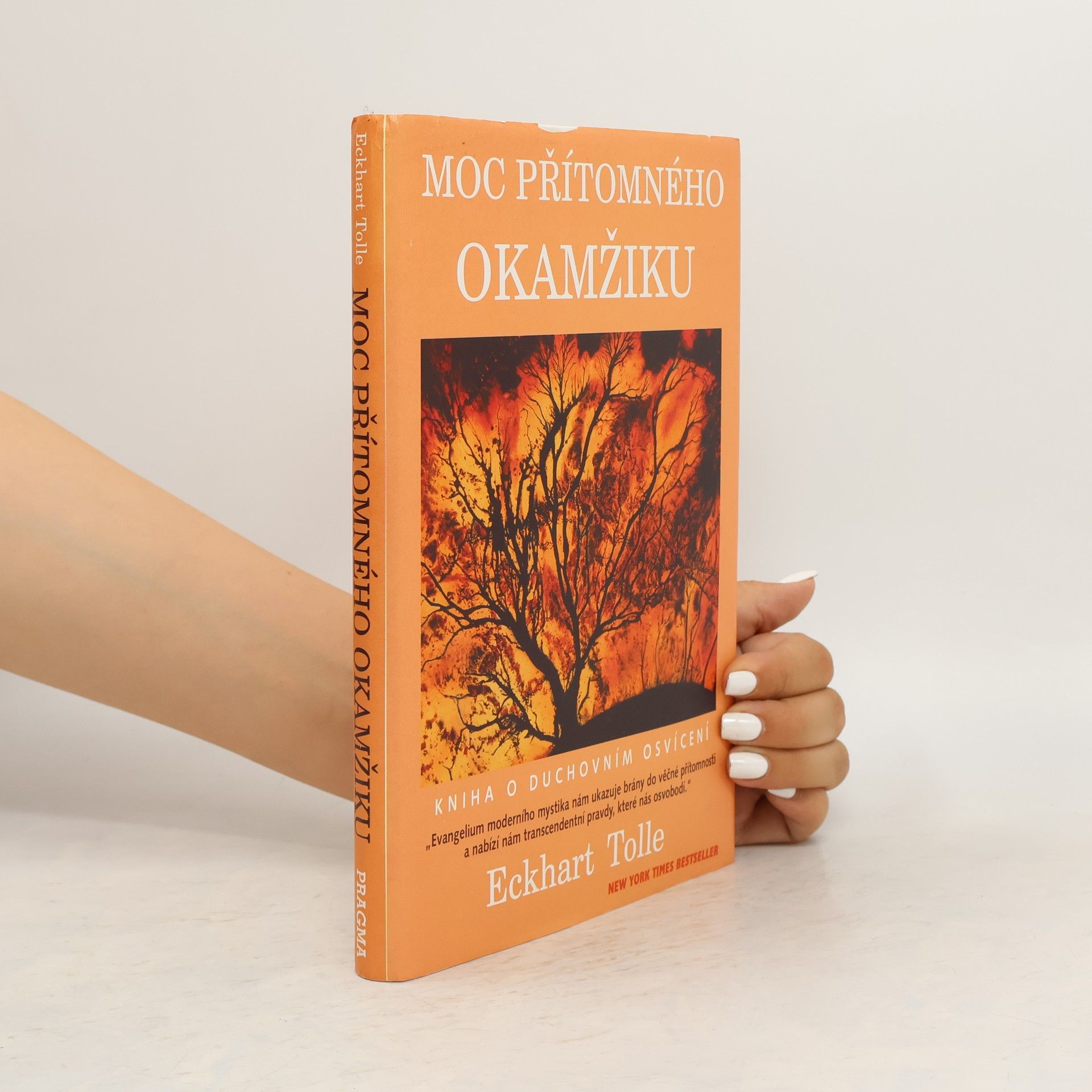 Eckhart Tolle Moc přítomného okamžiku