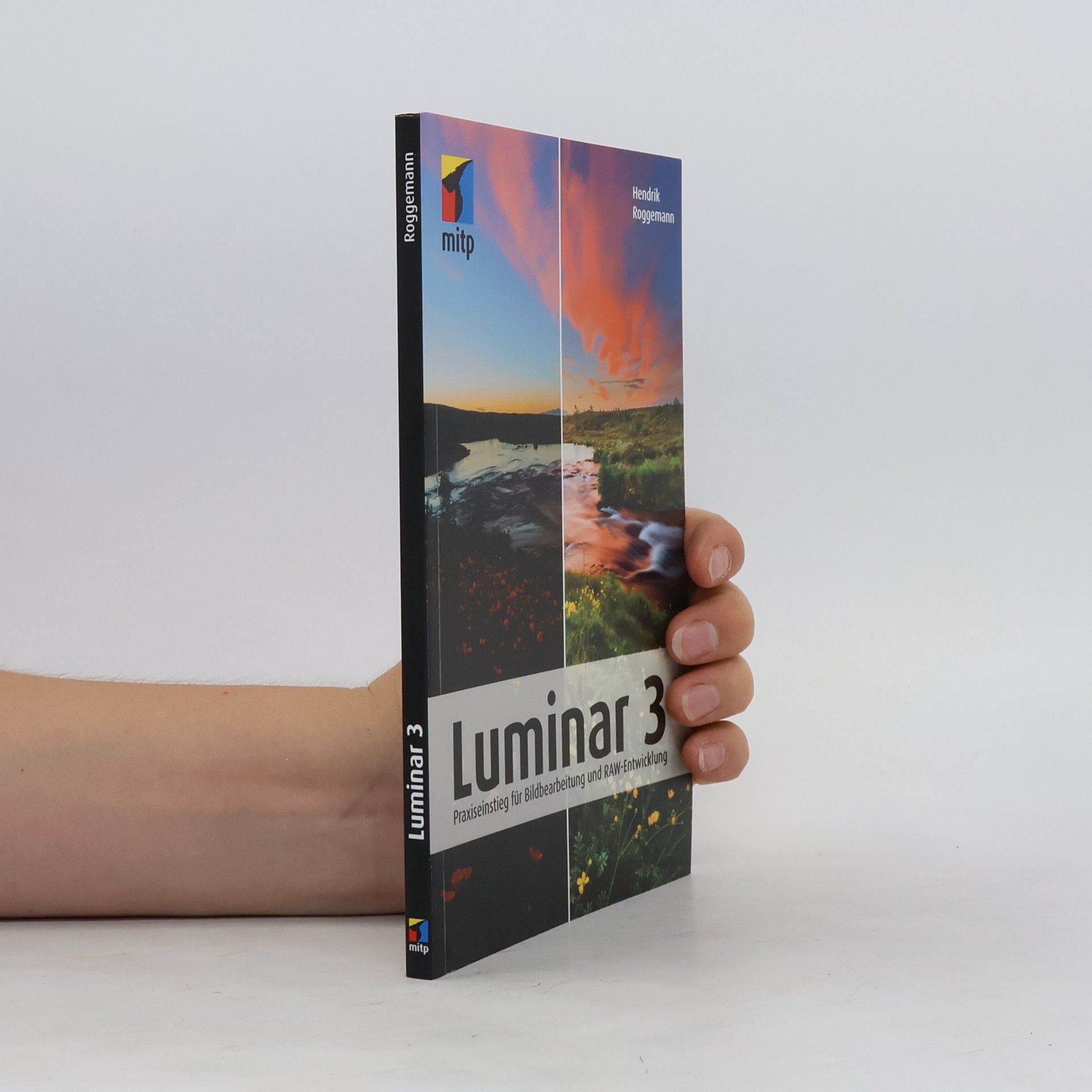 Hendrik Roggemann Luminar 3