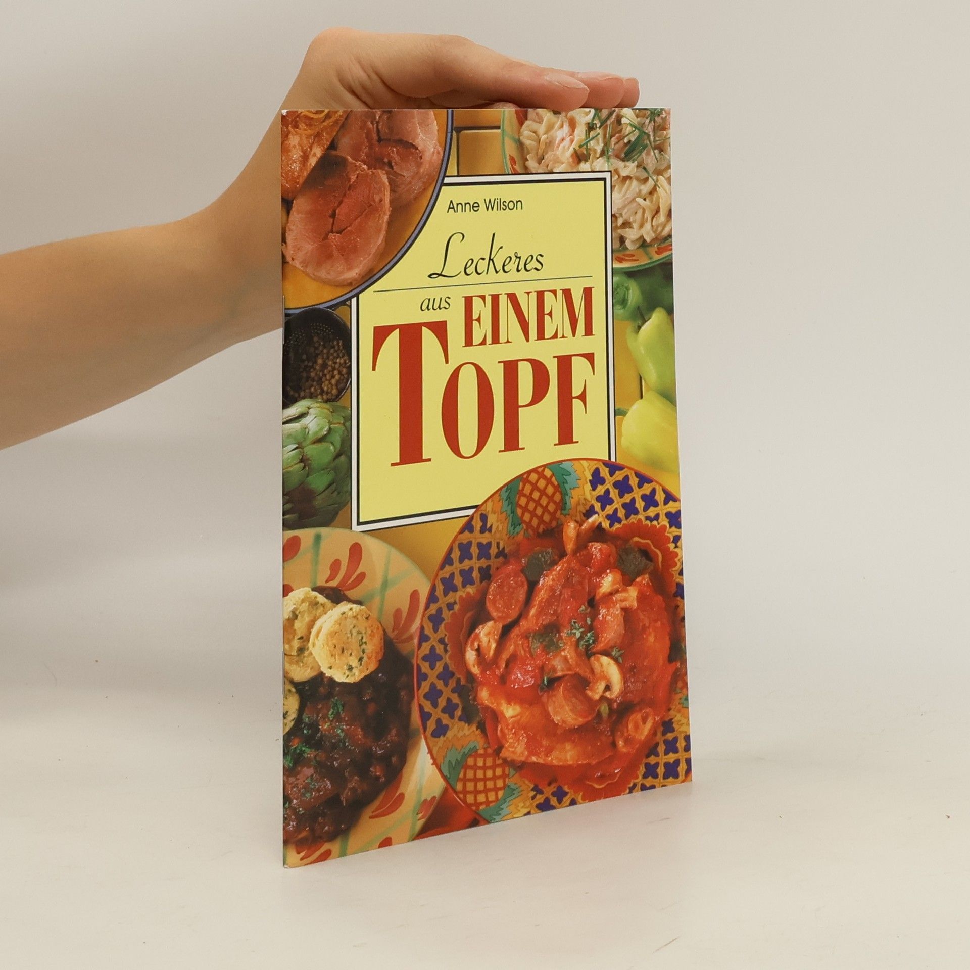 Anne Wilson Leckeres aus einem Topf