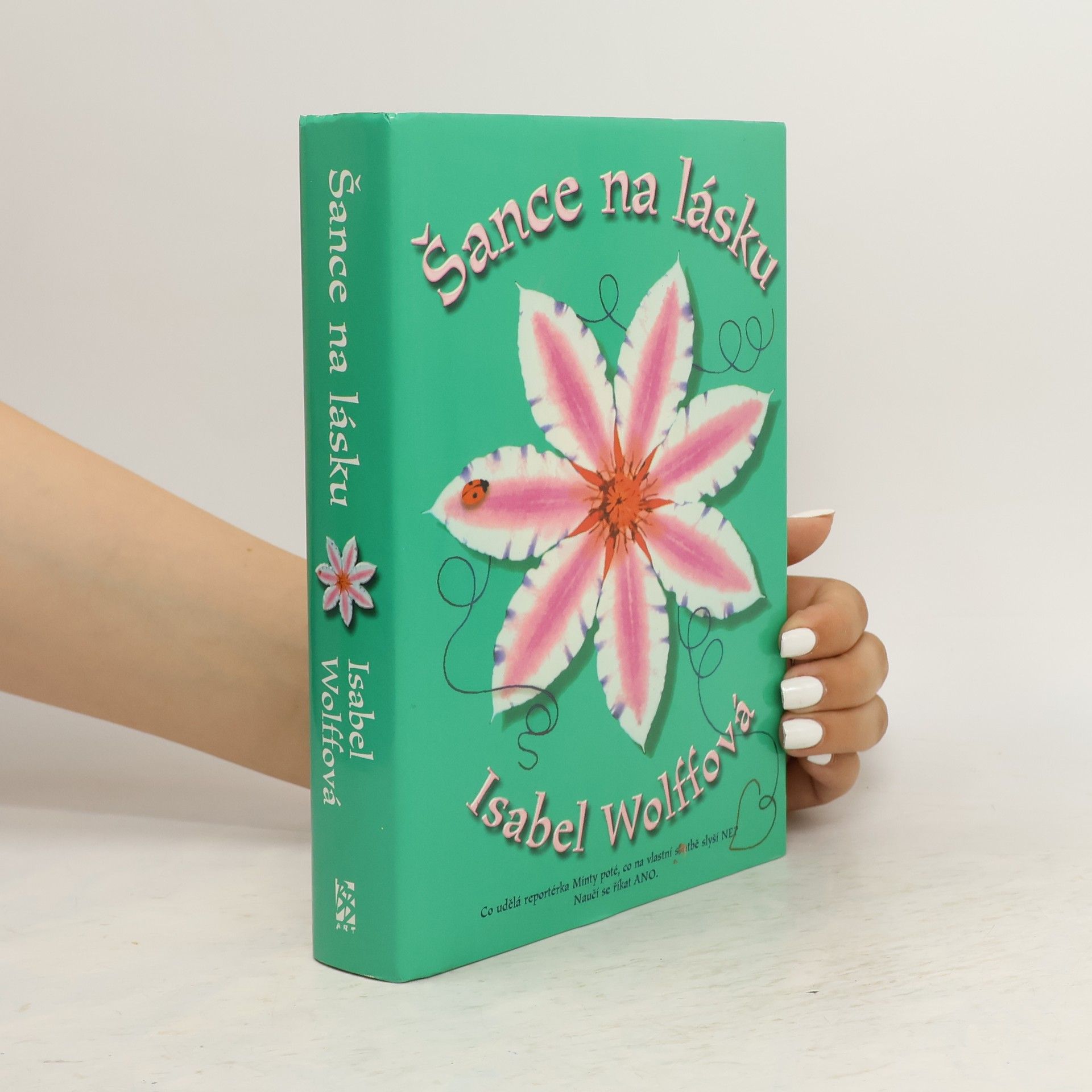 Isabel Wolff Šance na lásku