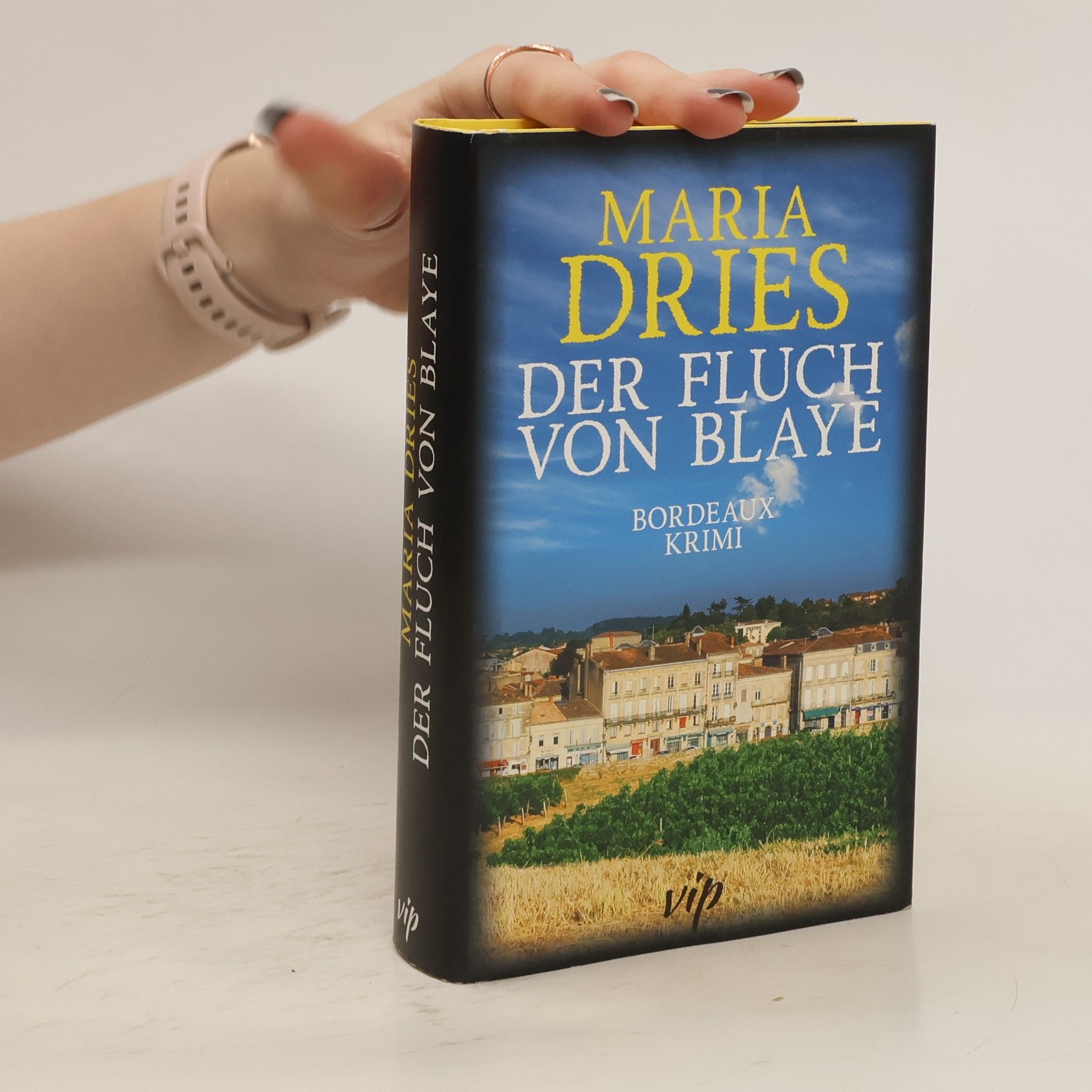 Maria Dries Der Fluch von Blaye