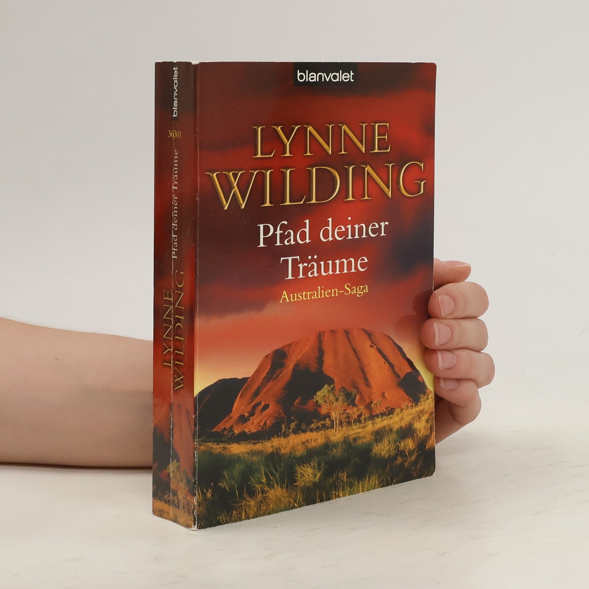 Lynne Wilding Pfad deiner Träume