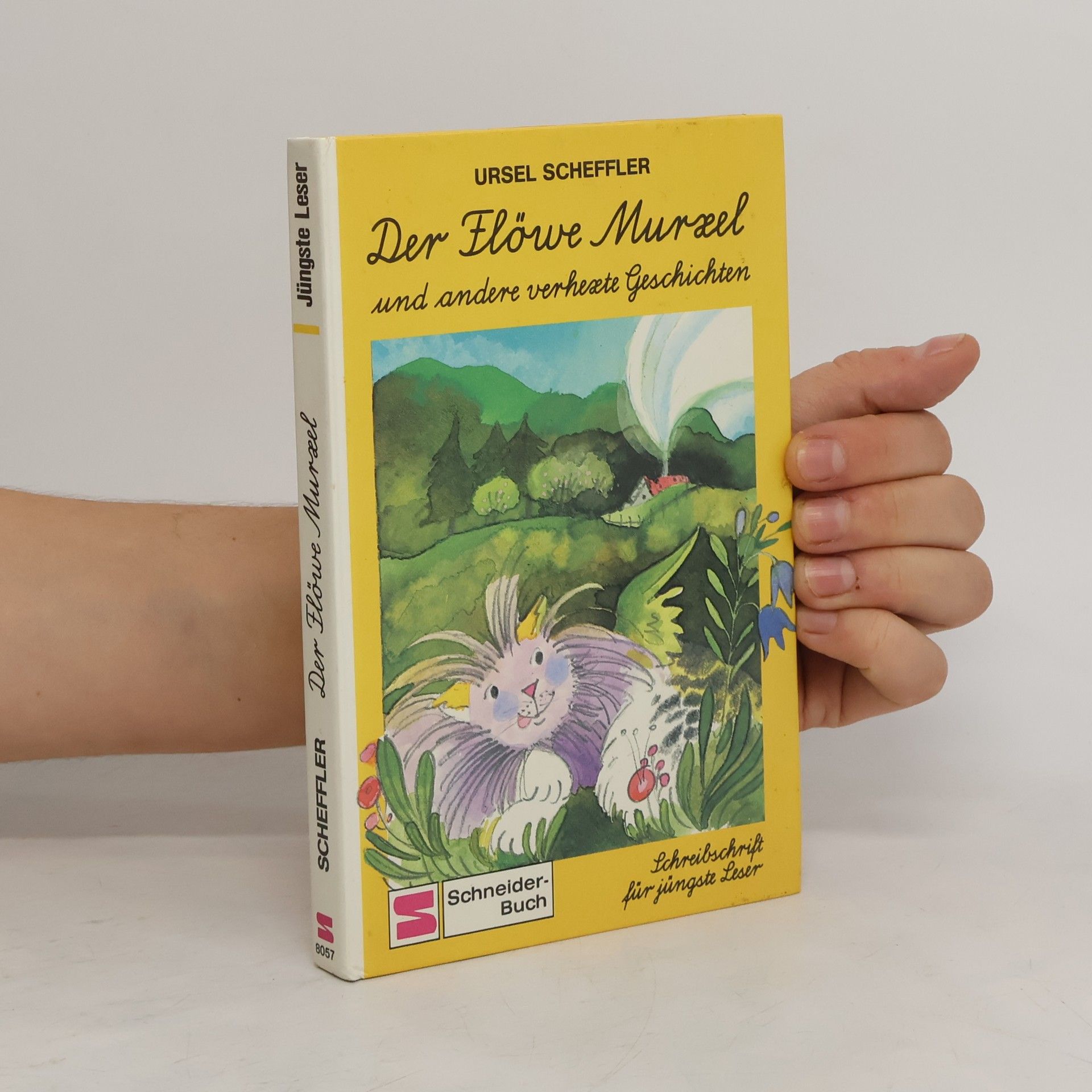 Ursel Scheffler Der Flöwe Murxel und andere verhexte Geschichten