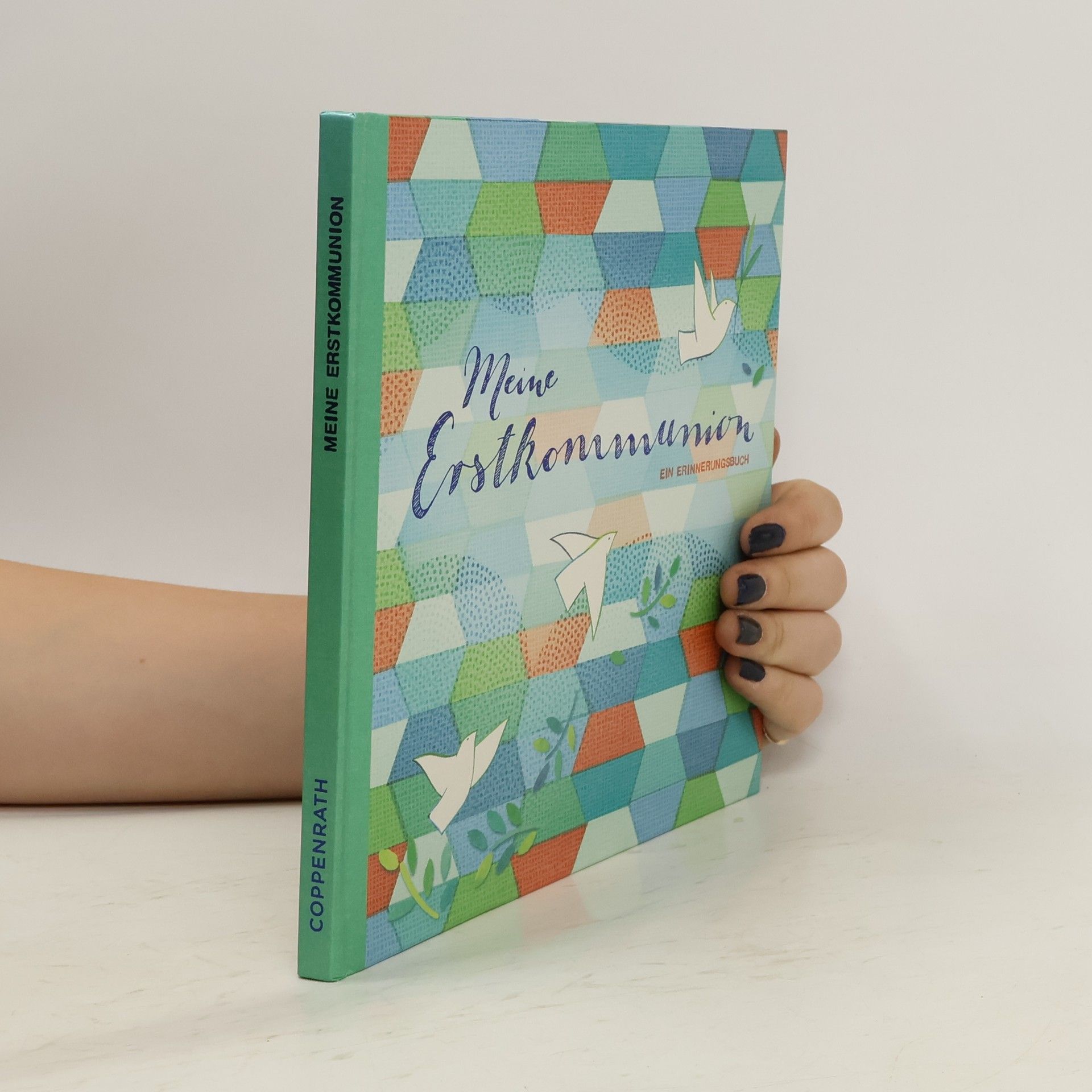 Collectif d'auteurs Meine Erstkommunion