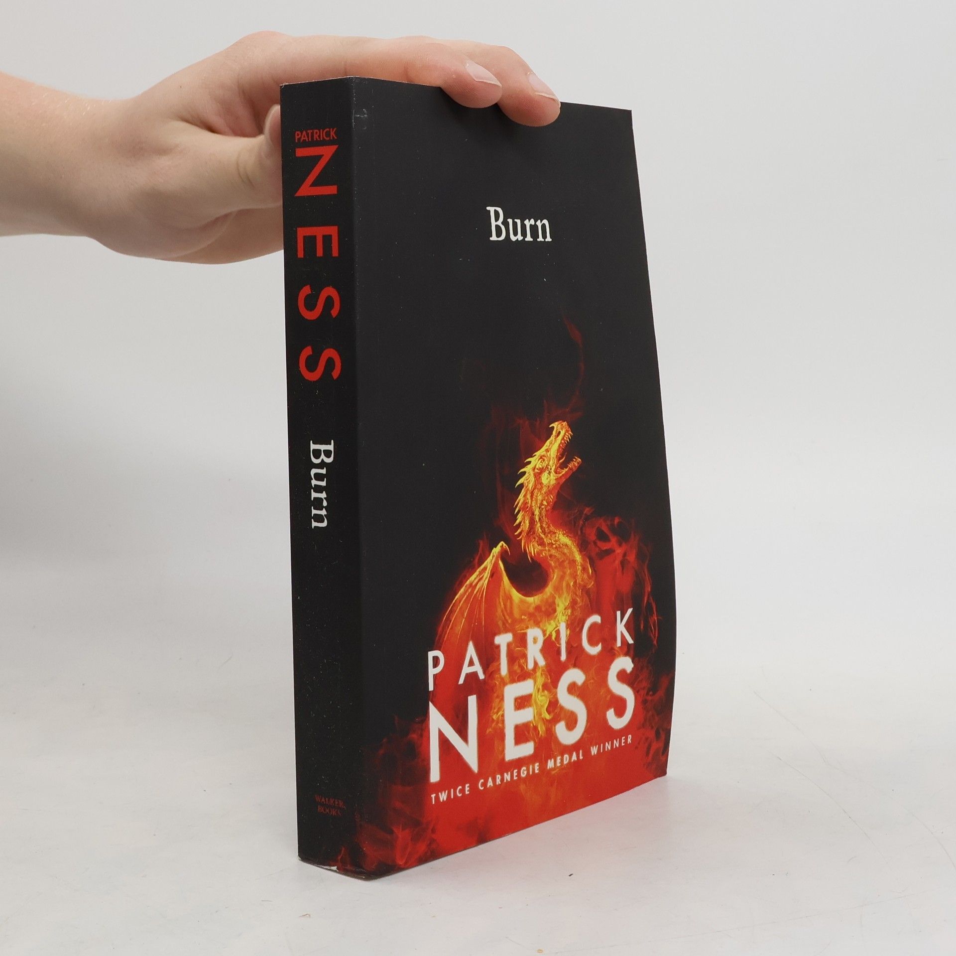 Patrick Ness Burn