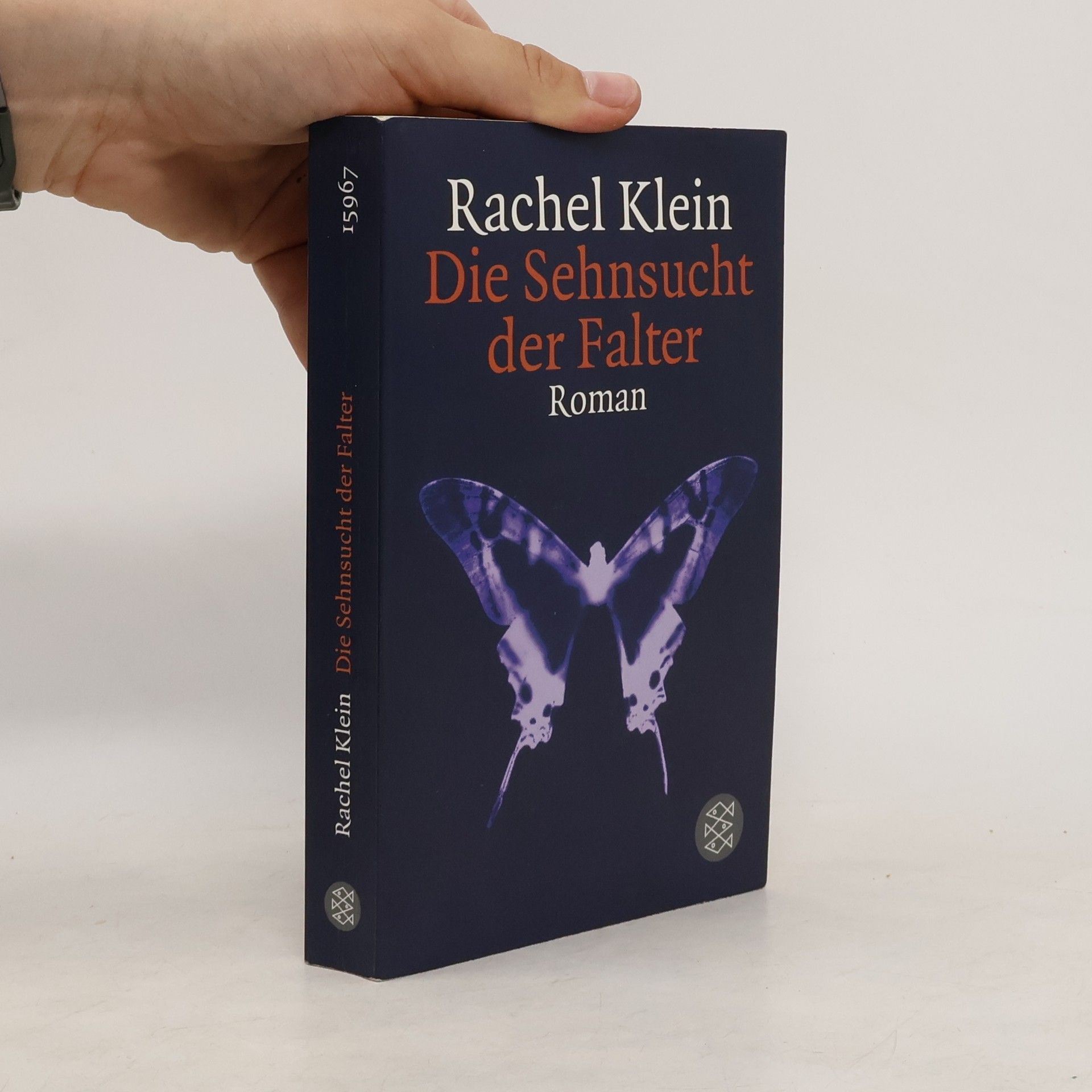 Rachel Klein Die Sehnsucht der Falter