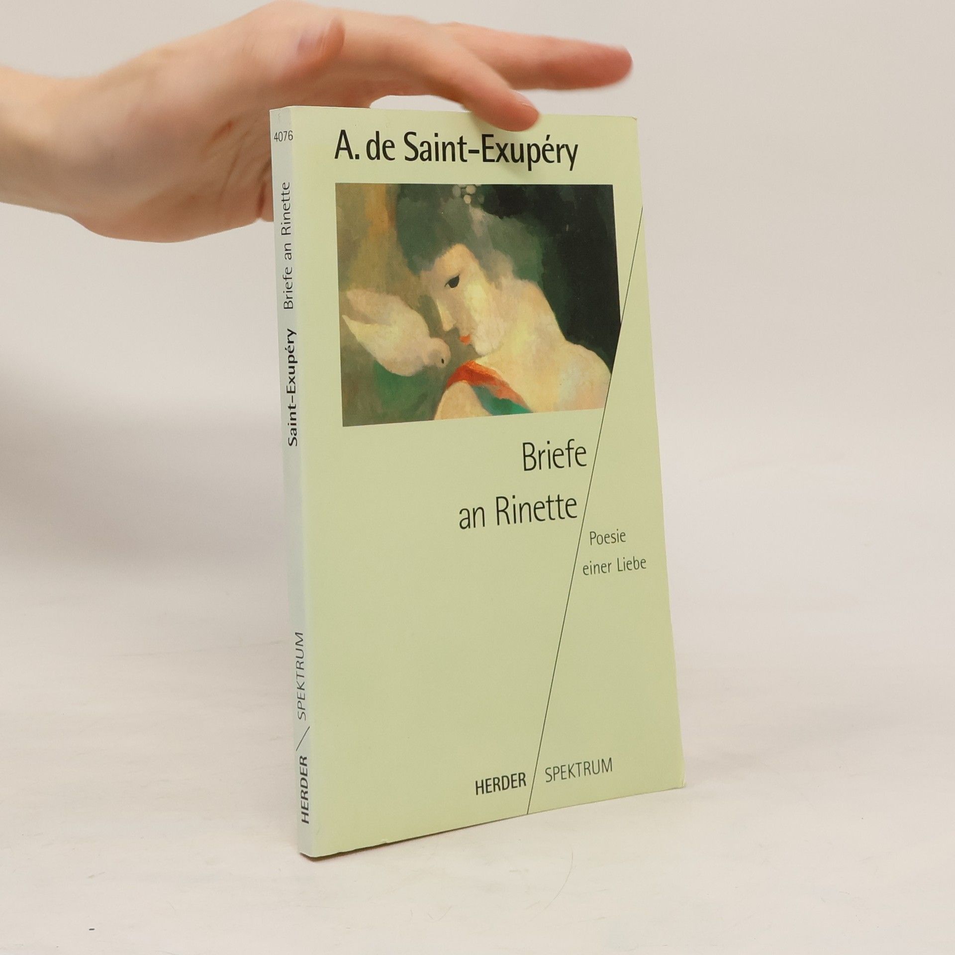 Antoine de Saint-Exupéry Briefe an Rinette
