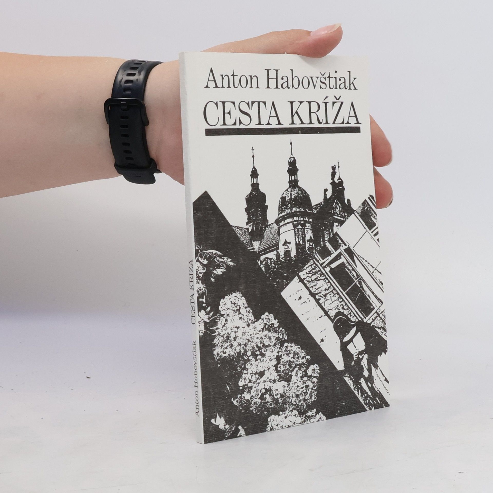 Anton Habovštiak Cesta kríža