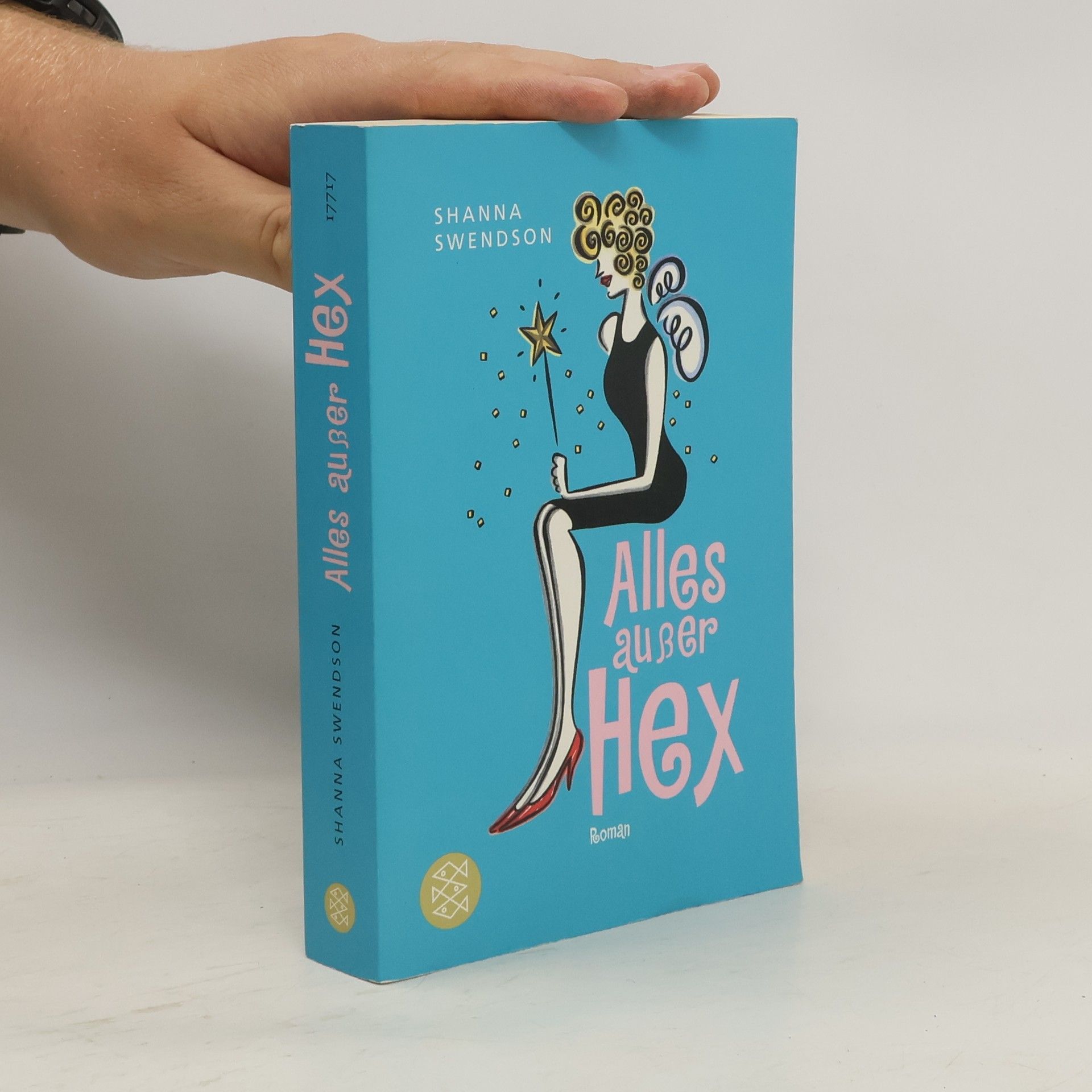 Shanna Swendson Alles außer Hex