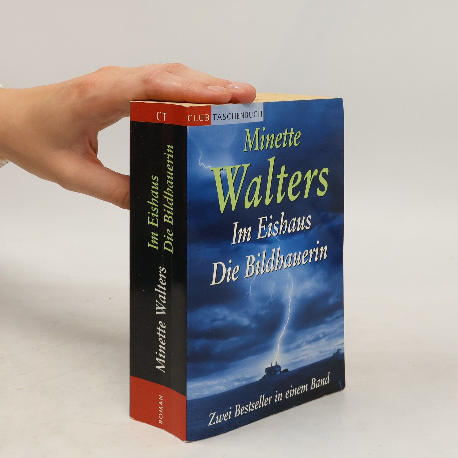 Minette Walters Im Eishaus. Die Bildhauerin