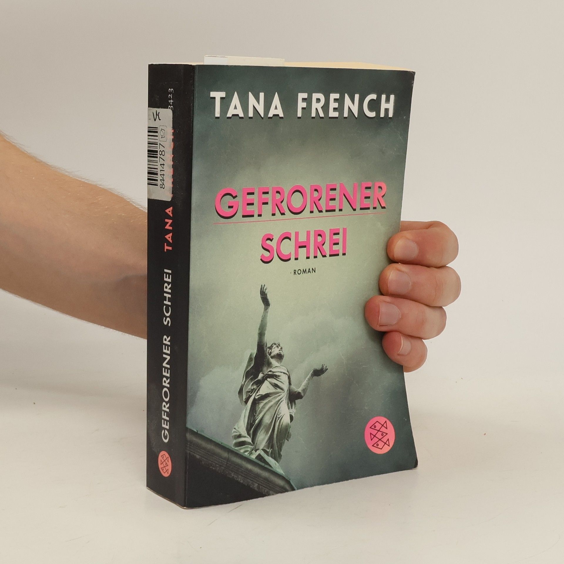 Tana French Gefrorener Schrei