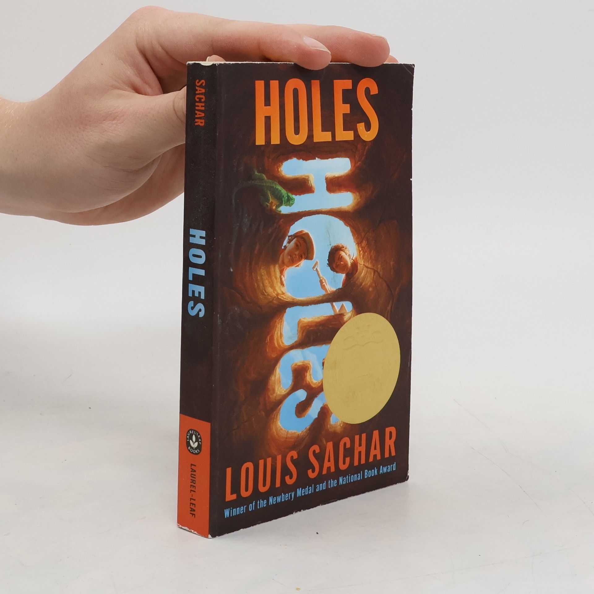 Louis Sachar Holes