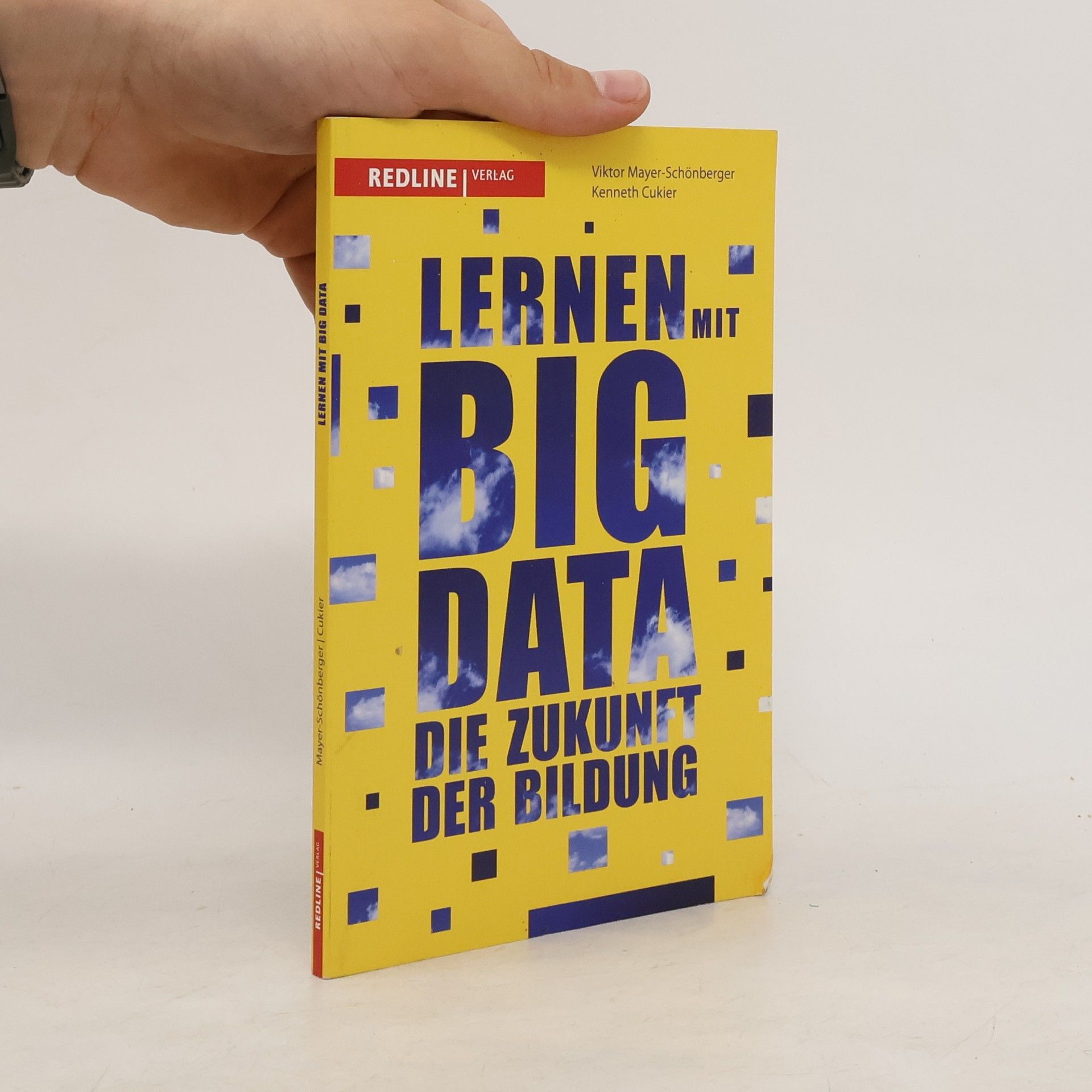 Viktor Mayer-Schönberger Lernen mit Big Data