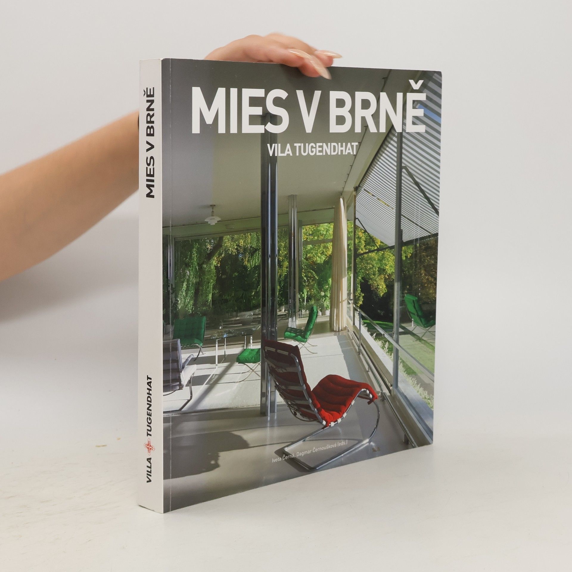 Iveta Černá Mies v Brně : vila Tugendhat