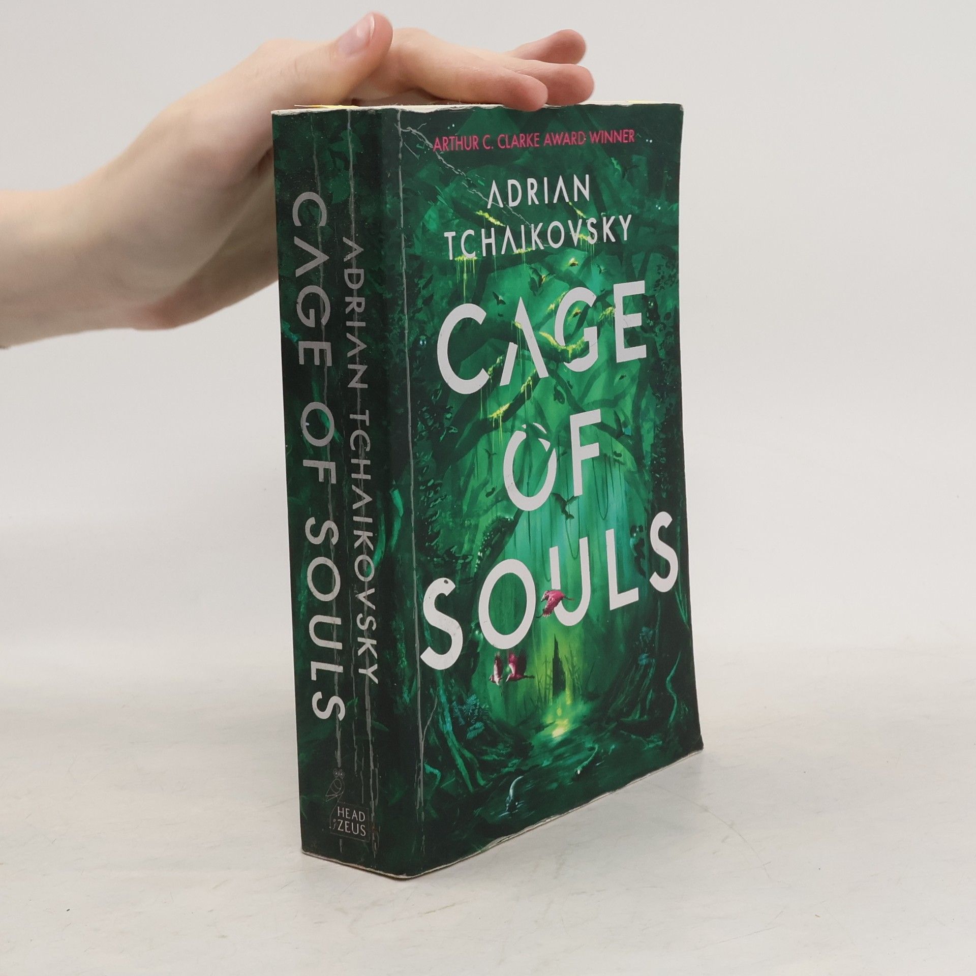 Adrian Tchaikovsky Cage of Souls
