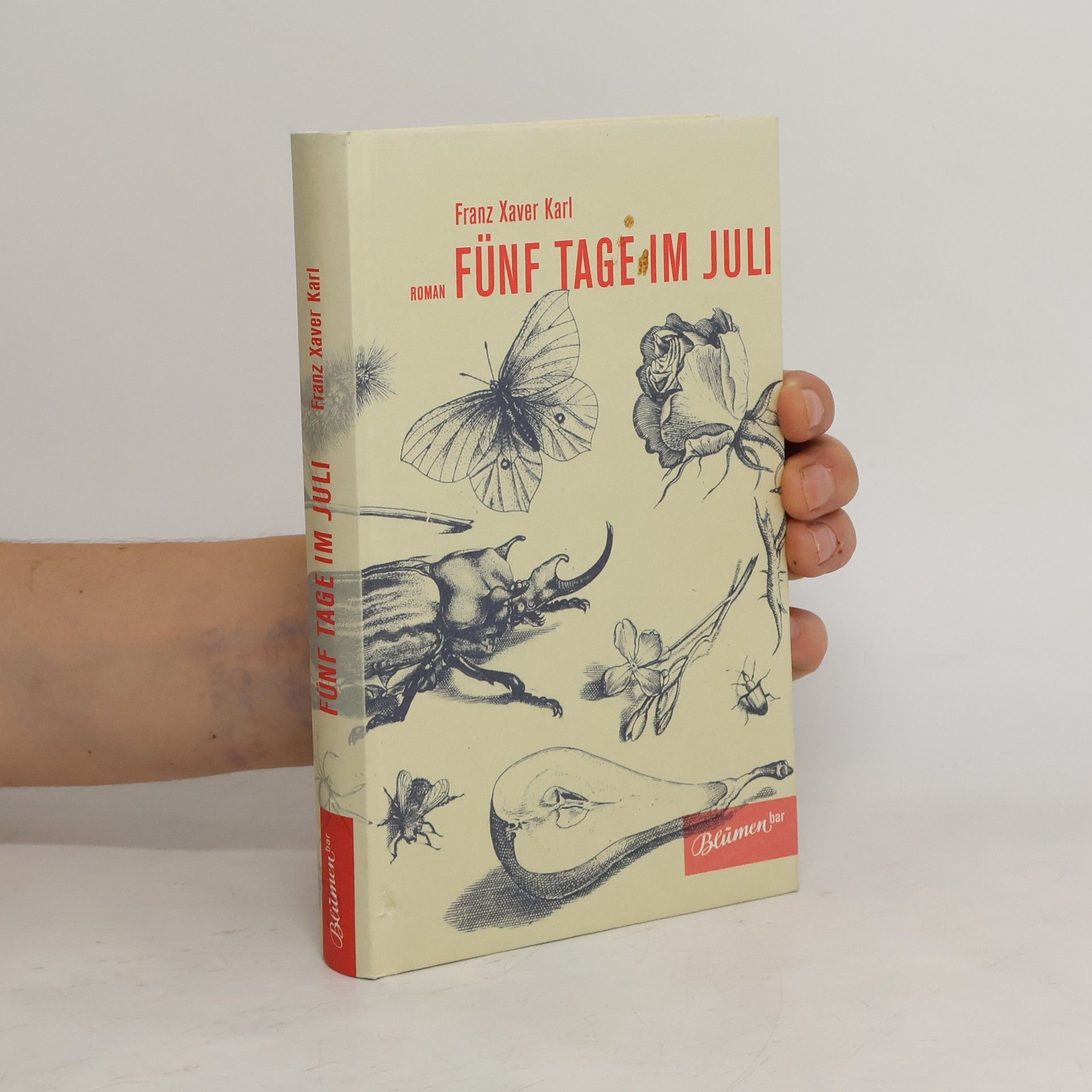 Franz X Karl Fünf Tage im Juli. Roman