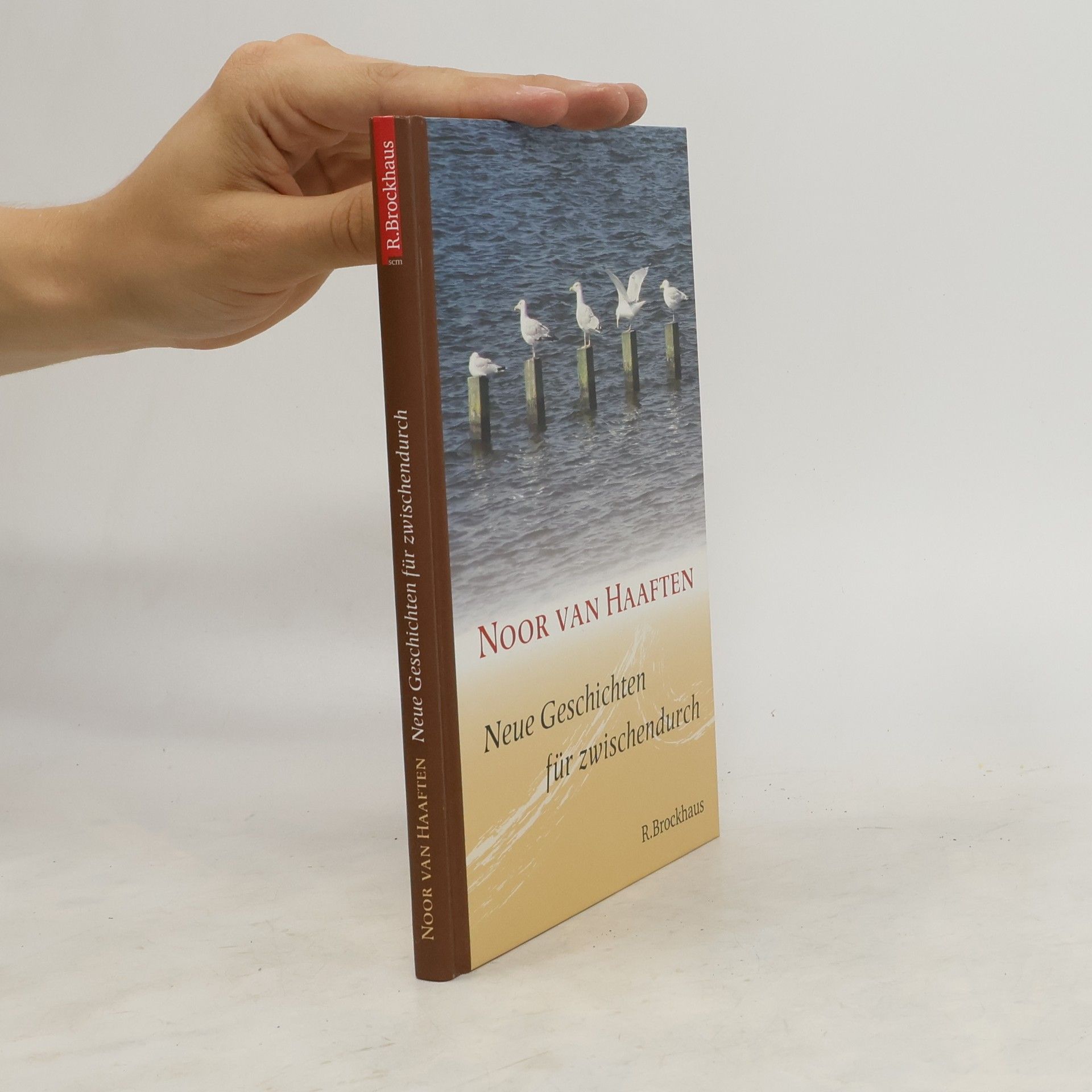 Noor van Haaften Neue Geschichten für zwischendurch